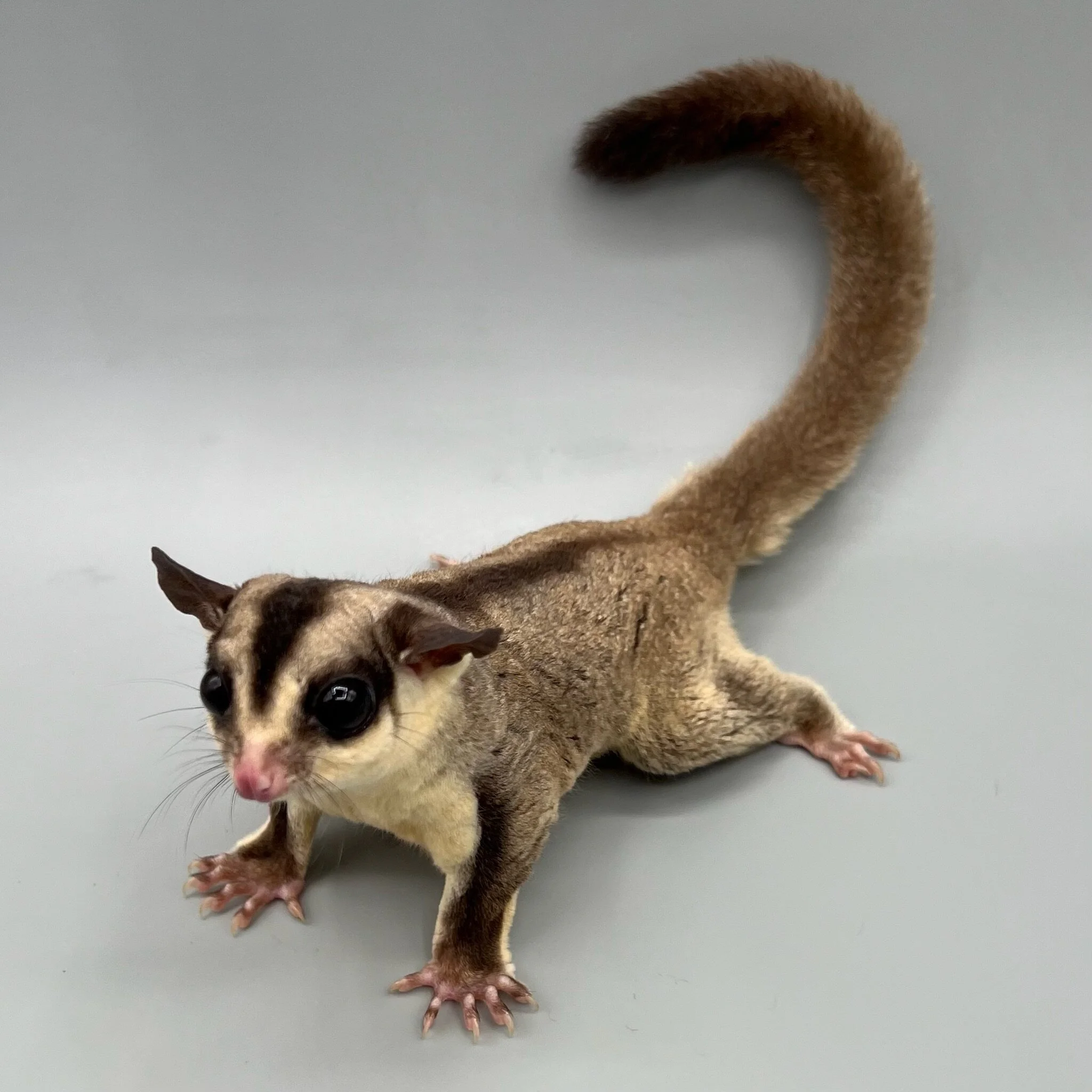 CBE94A17-664B-4204-B04D-254F616C4A79