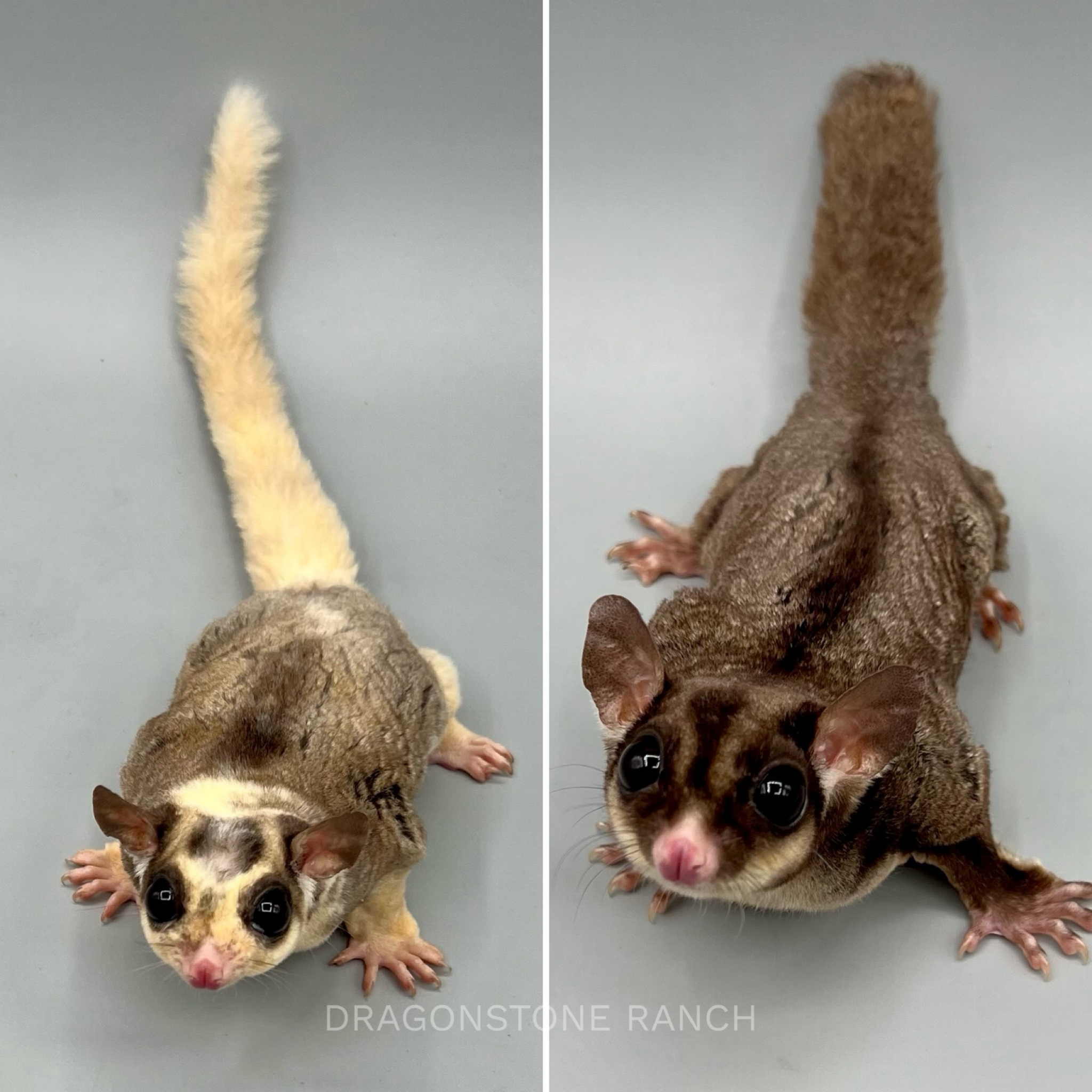 9B741C3D-47A6-421B-A1DE-0FD4056006EA