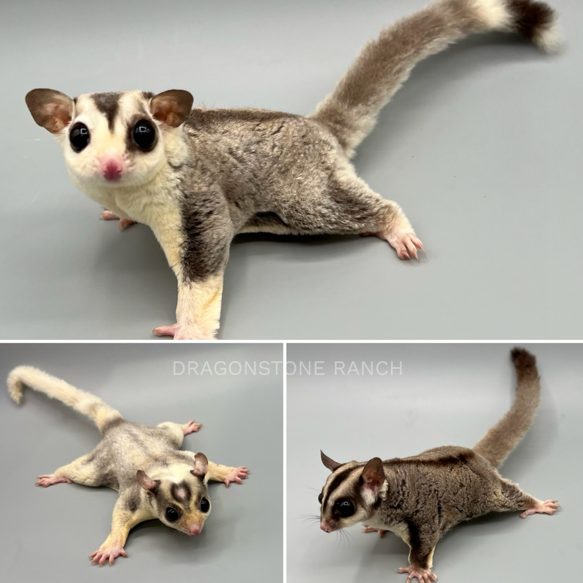 E960A16A-4EDD-48B9-964C-A85DC54DE8D4