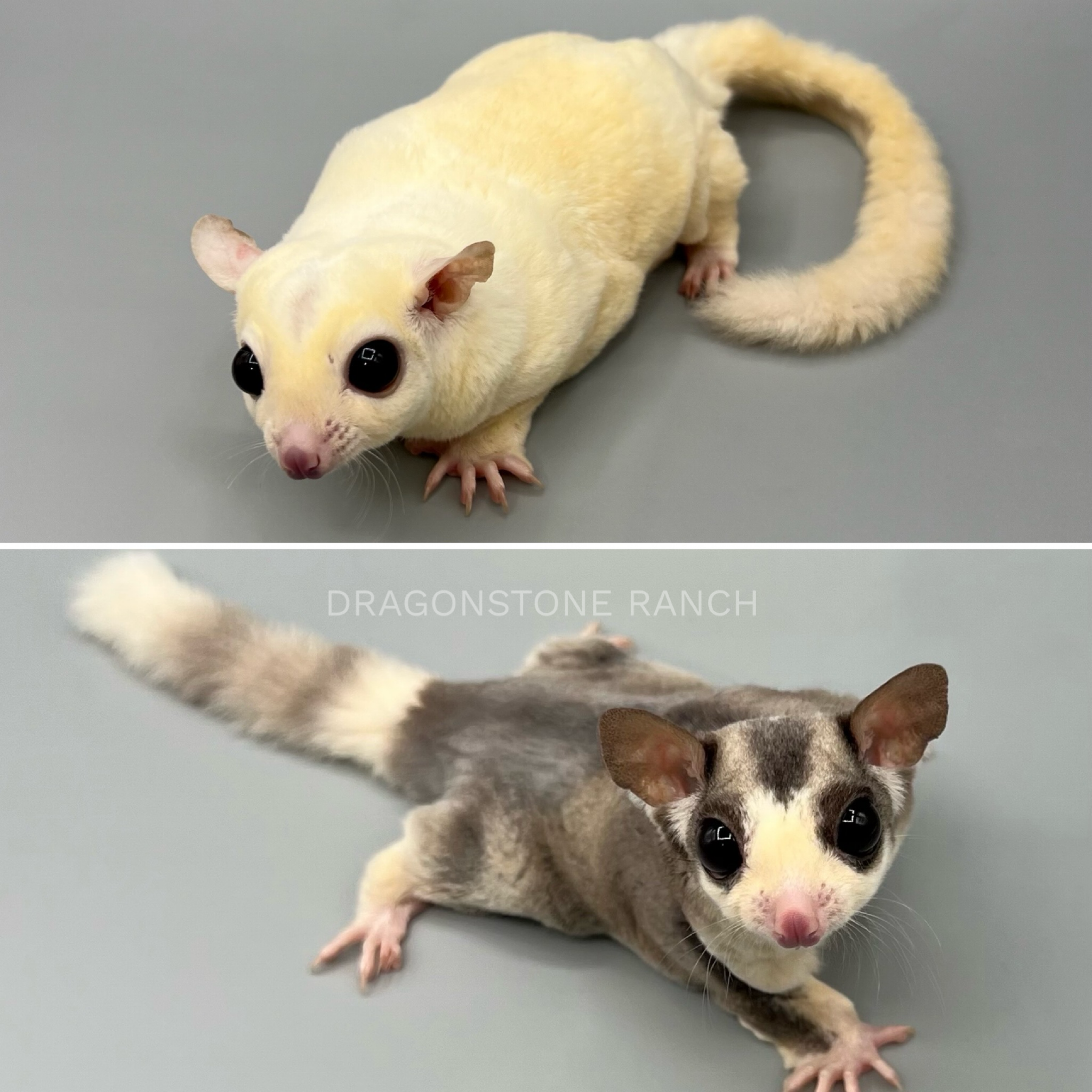 D39D481D-A31C-4DF3-9C79-7D296BF9FBF4