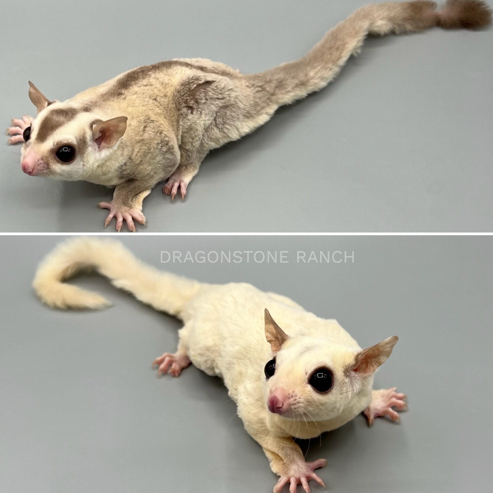 07AA0134-A6A6-447D-986E-BAD40CF0CAEE