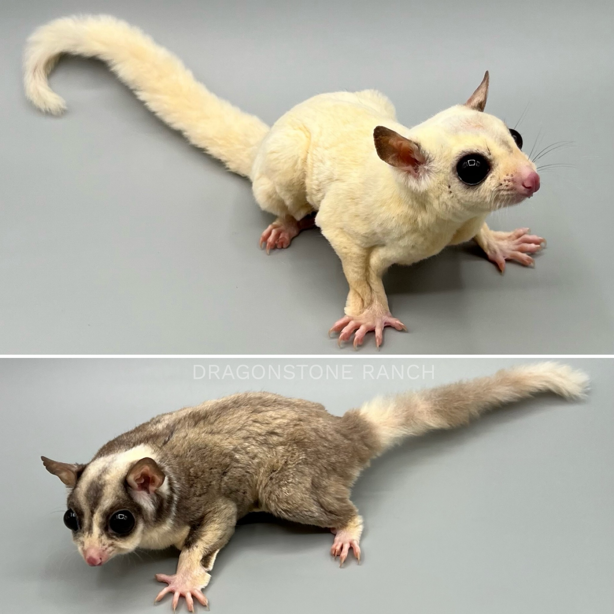 1645845A-CF46-4D93-94E5-5A4DD58EDFF7