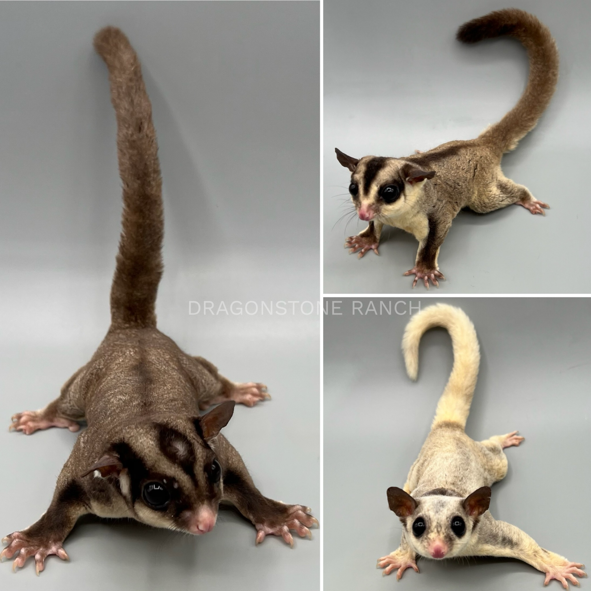 D3F1BE13-0D4D-48BB-B46C-A869E0E20CFE