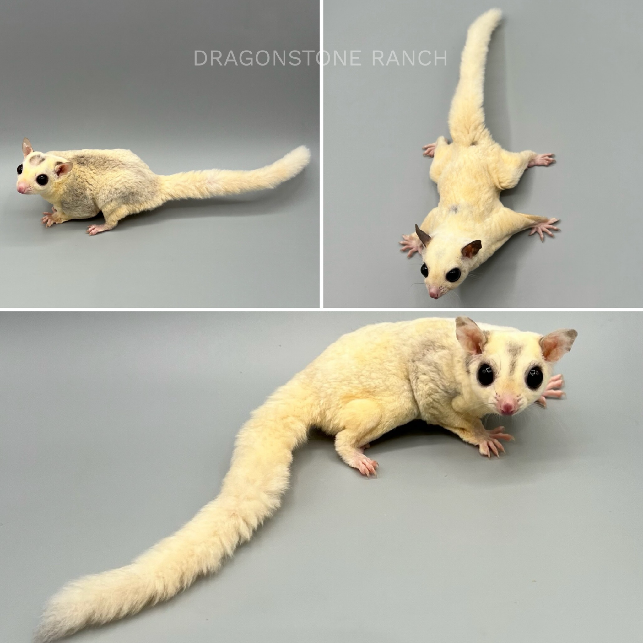 6B135738-AFE0-49B6-A91F-D37374318B1C