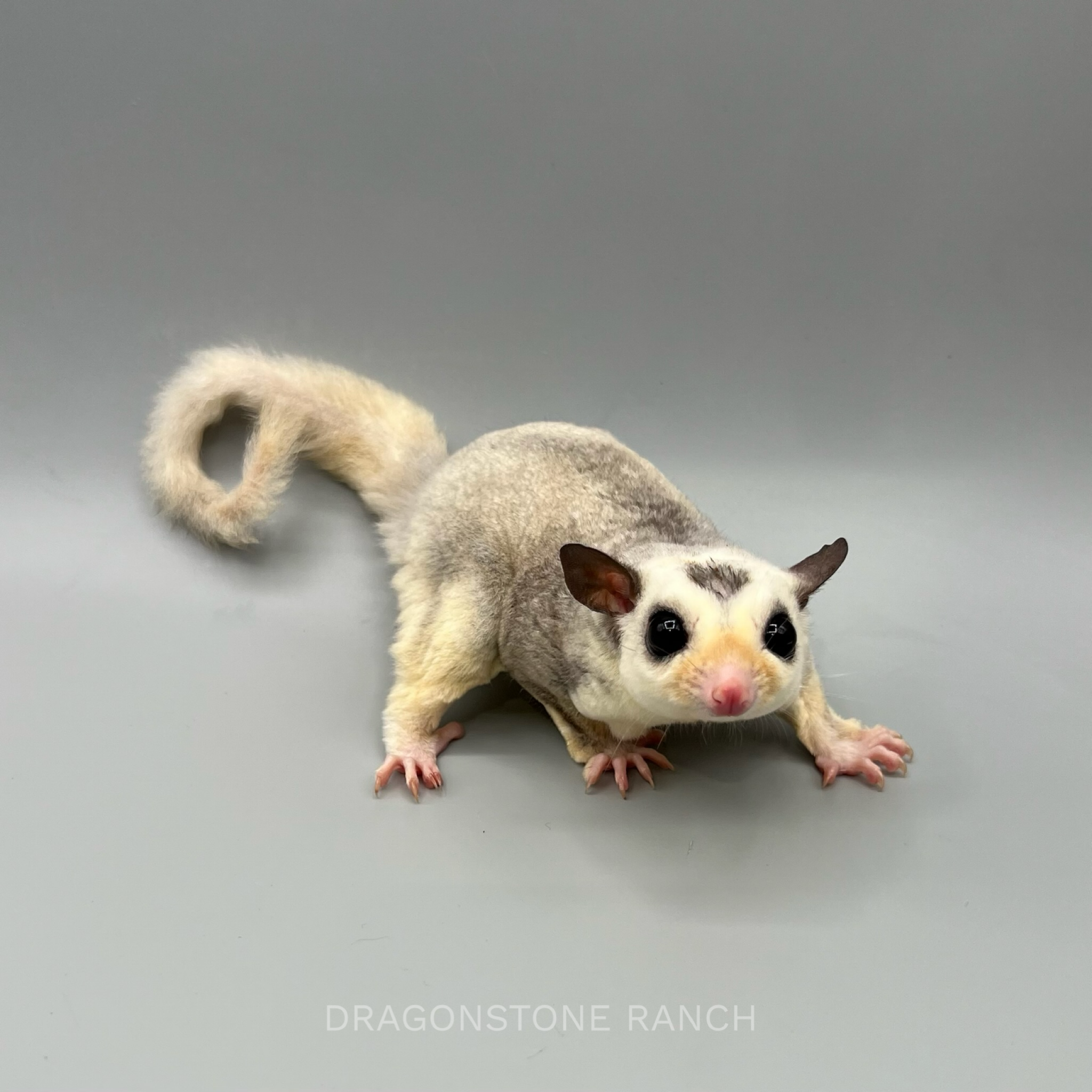 1D9E21B0-7E23-4DD1-8CC2-AC9BAF17F770