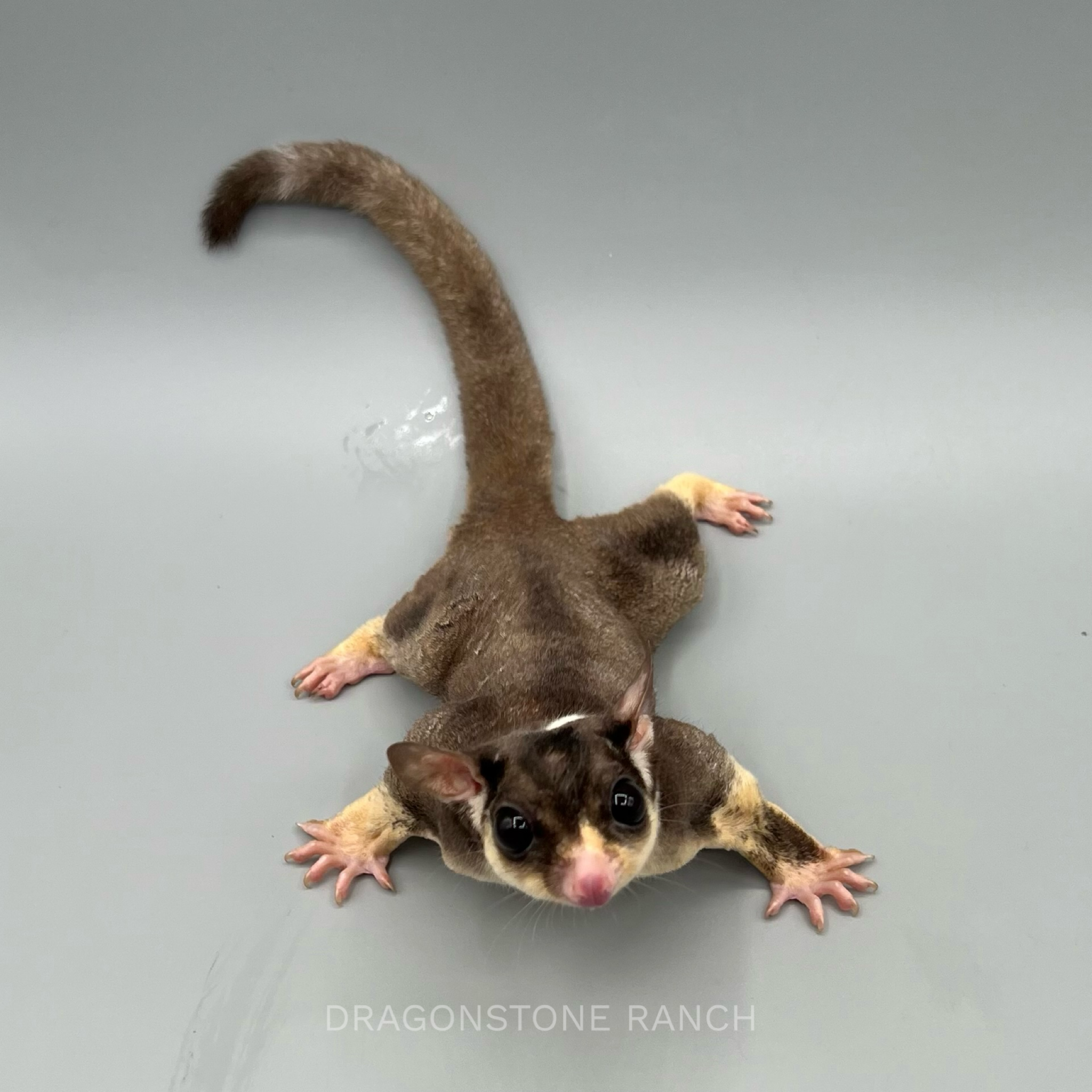 26E7643F-360F-4E29-8580-70CB17ECE4E8