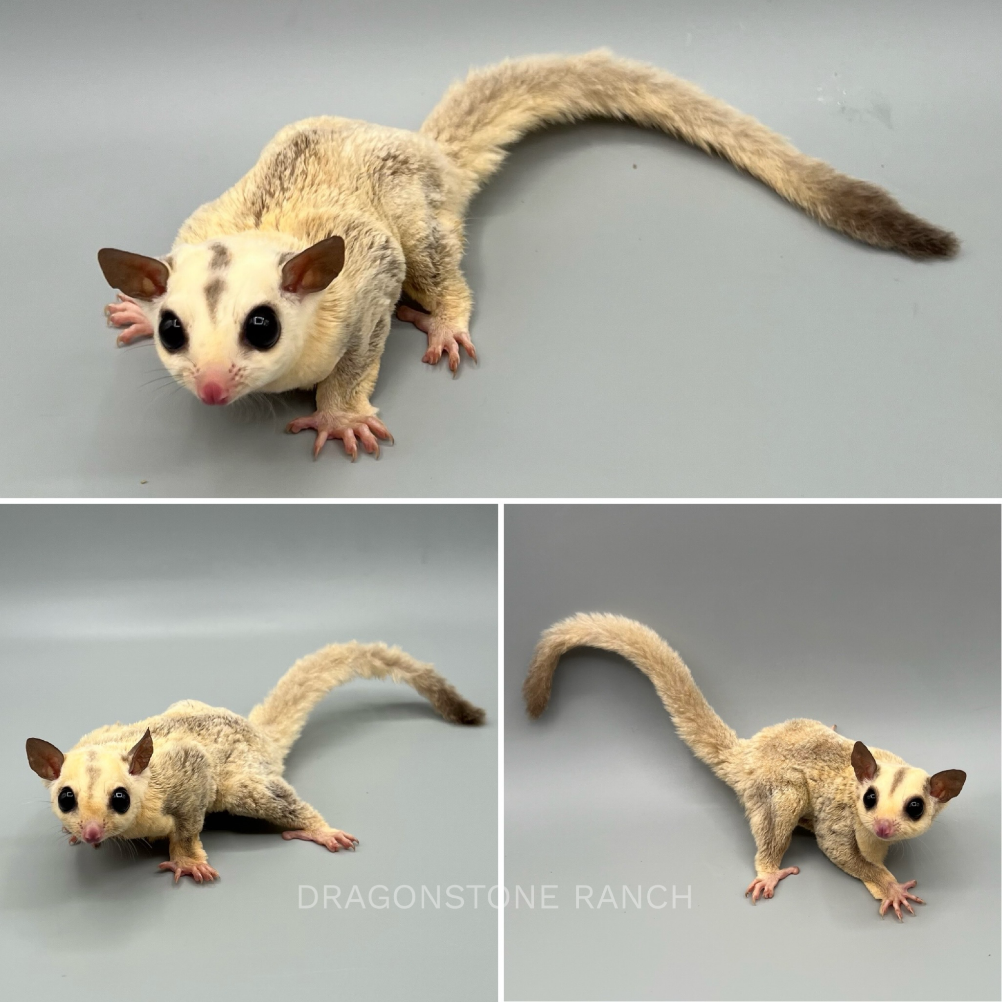 511B3C1E-8A8A-4553-A70E-5434295682FE