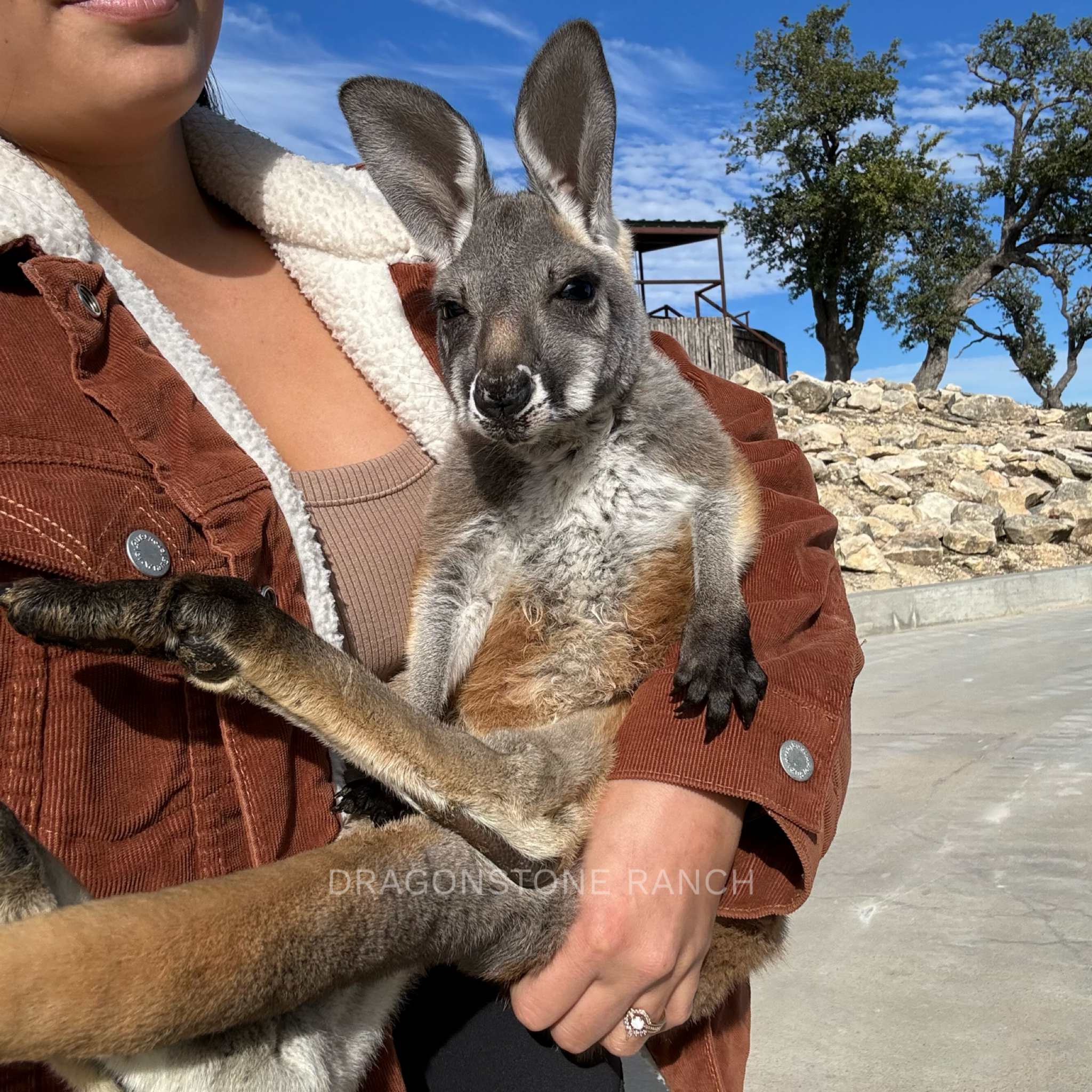 CCD7EE68-97C2-4307-AE8F-764978E382E0