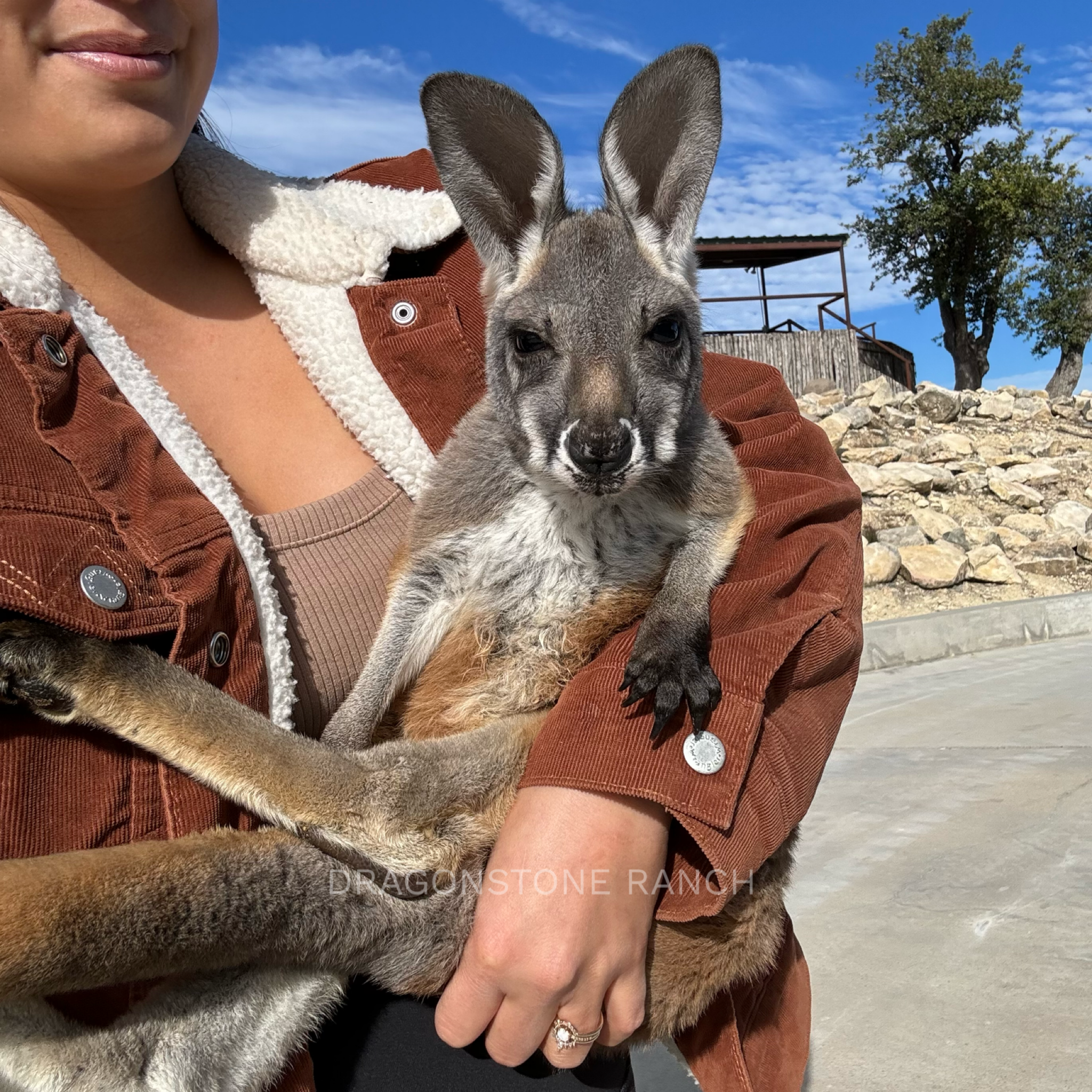 1E7DF50A-766A-4BA7-ACBE-48A091ED4CF1