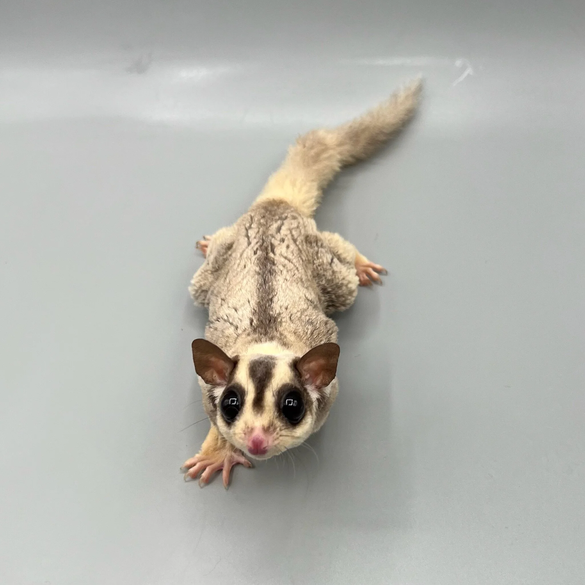 9134729C-9429-418C-9A2F-0D710A8B6047