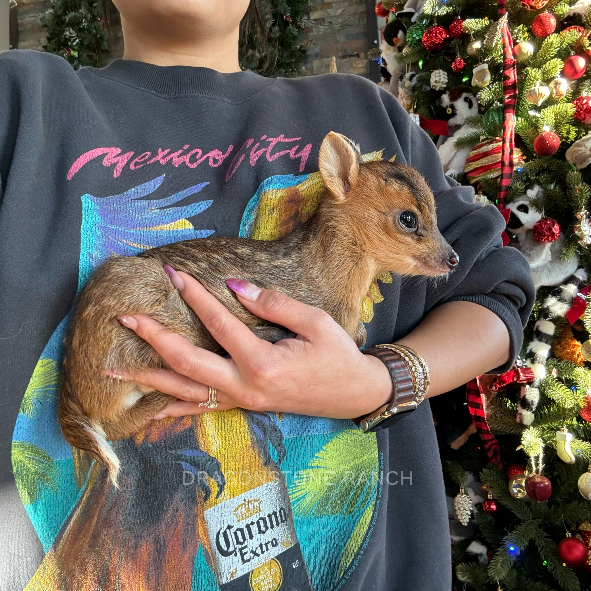 636718D6-5A88-4F6C-BB43-0A7E75EA7CFC