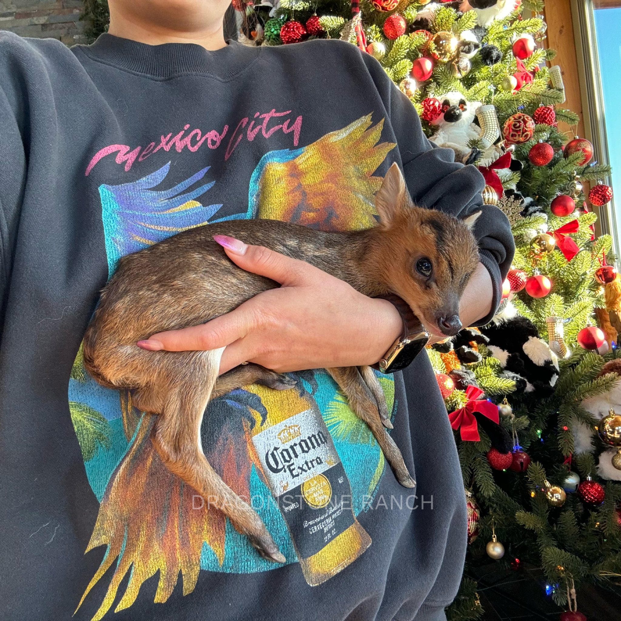 4190989F-AD7B-4BBE-9A31-D0F09A8C603E