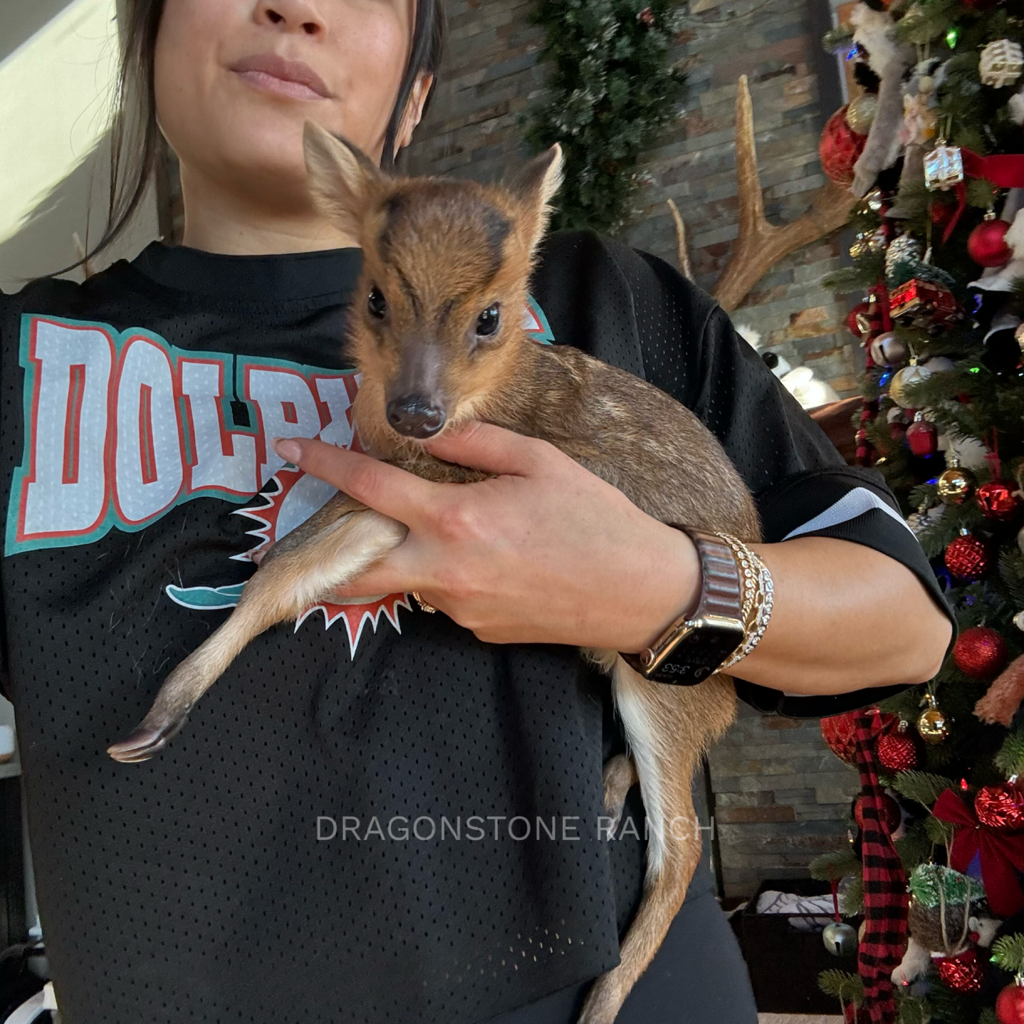 0923044C-B6C9-4E4B-BF9D-1F6F5D417752