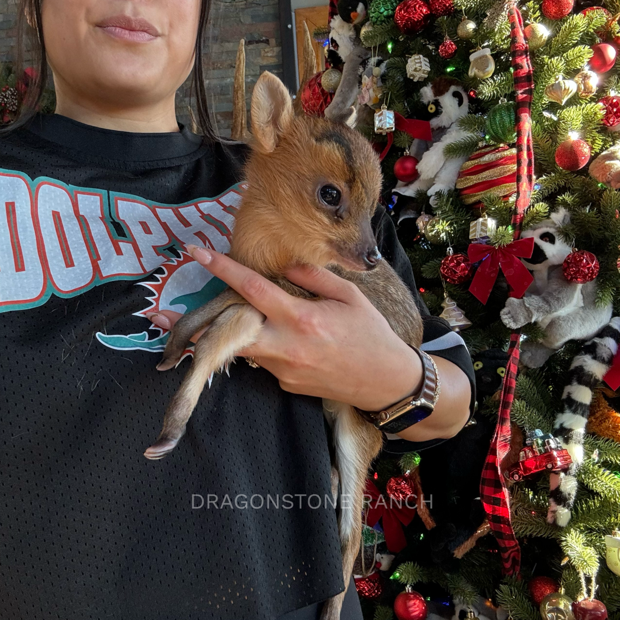 FD11122A-EFB2-47A1-83A7-FE23D0EC6A40