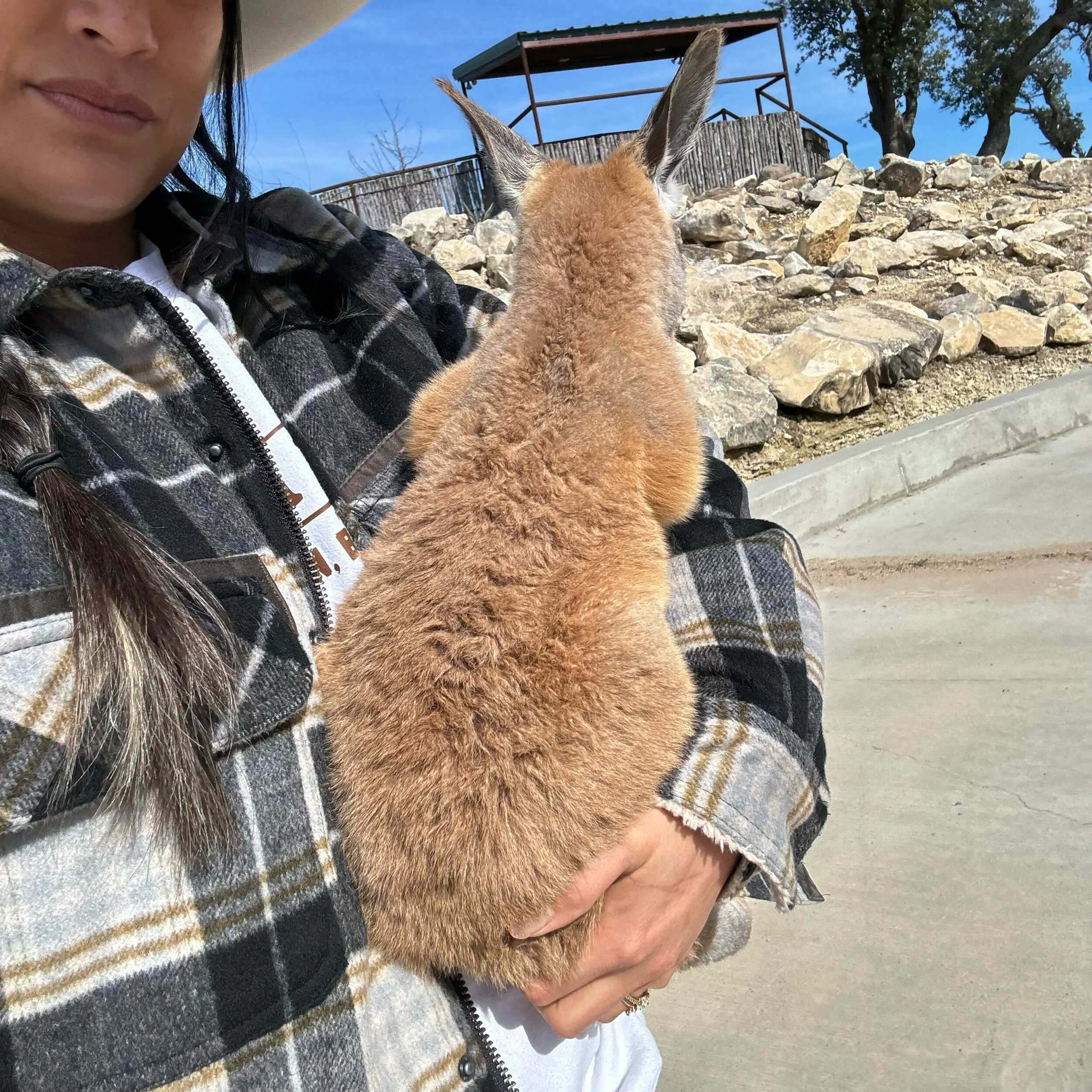 9A4FD456-4CEC-470A-A856-EB27A6B407DB