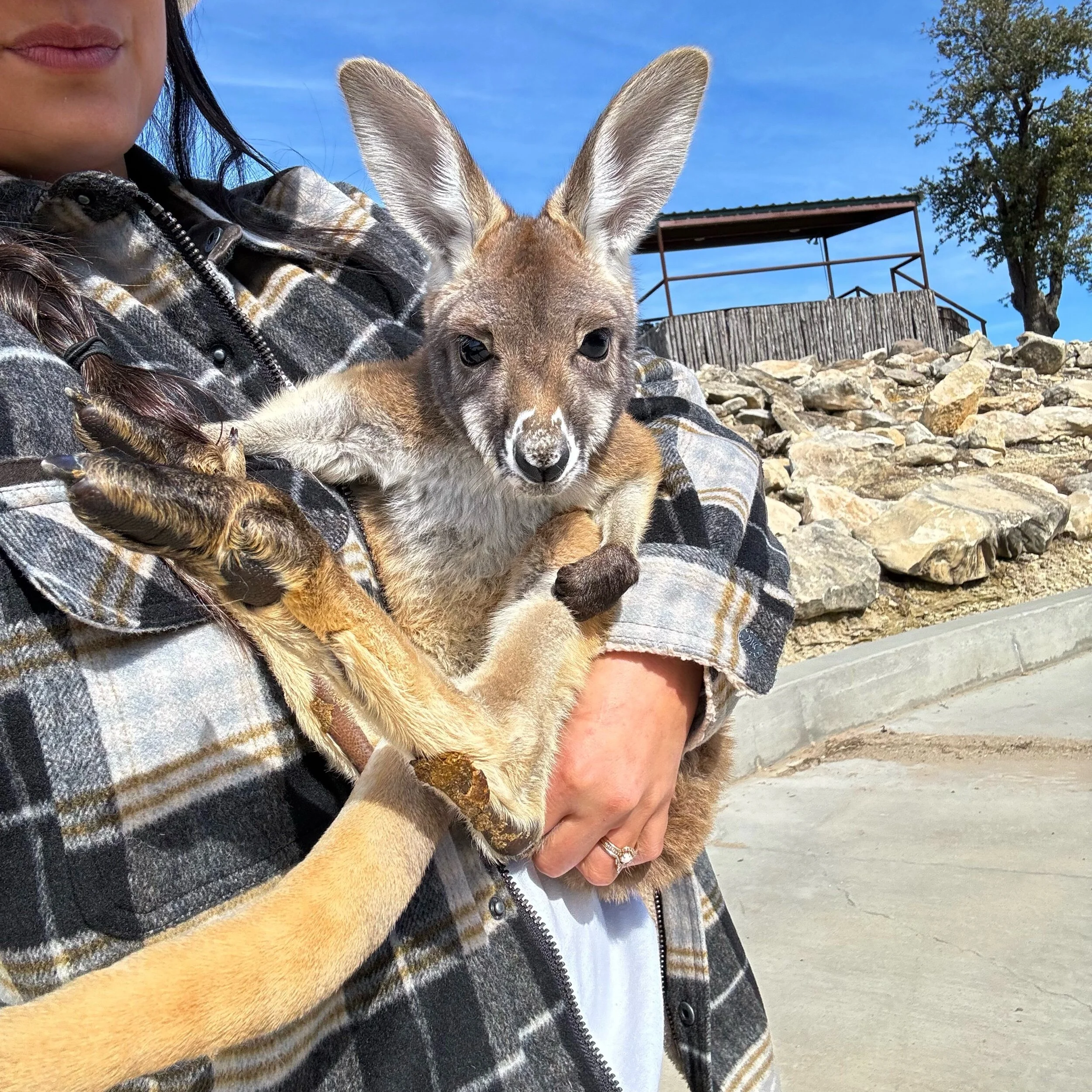 8AAB1CB1-F0A7-4844-B5CF-AC39ADB27ABC