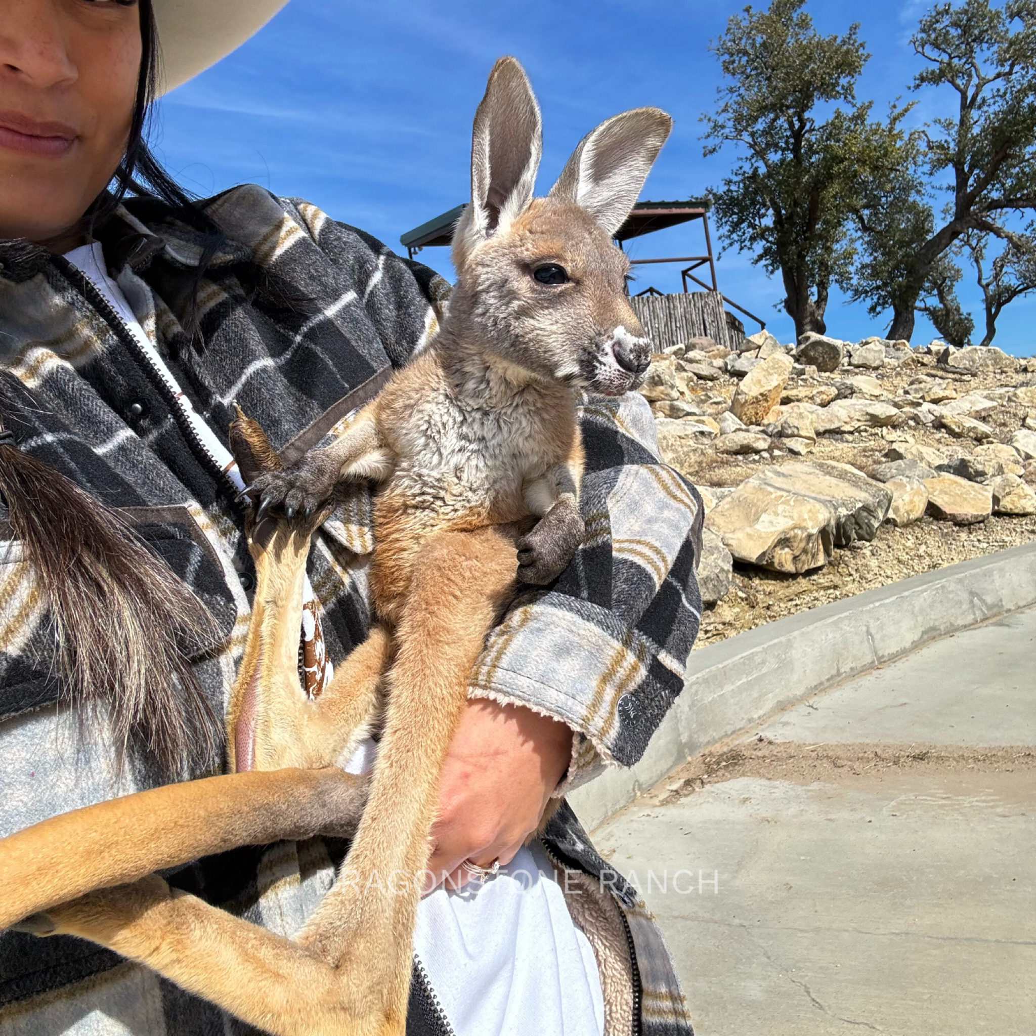 287F458F-8CB0-4F82-A0C9-6E425F94BF6F