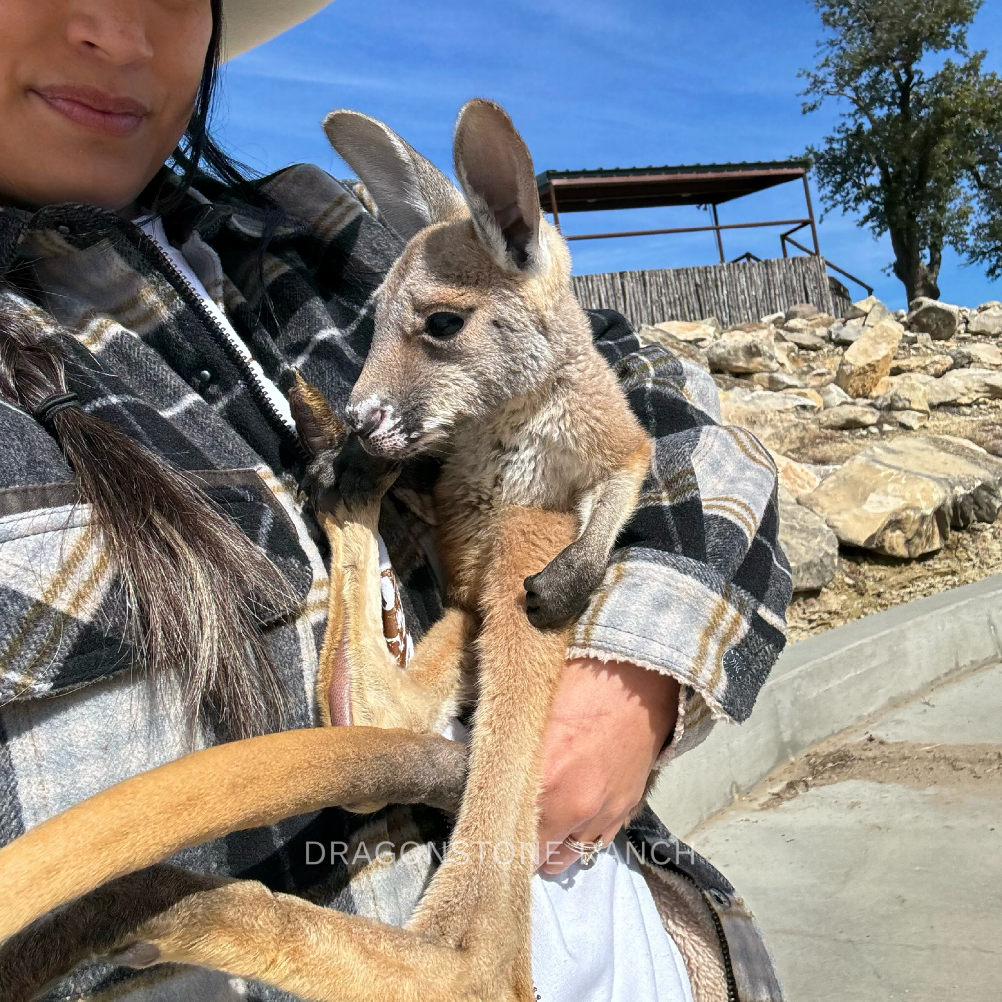 43FA6997-E9FA-411F-8B00-18C7EAA1FC75