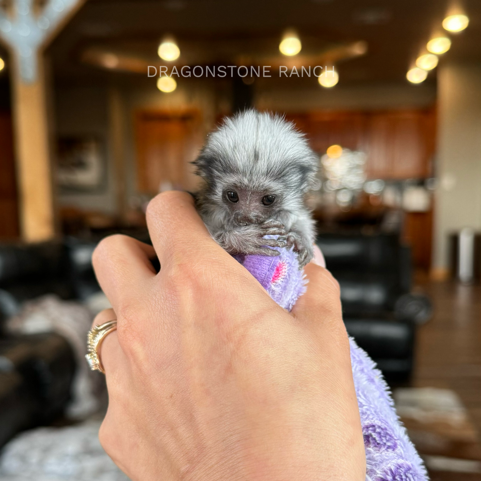 BE08F757-AE4F-43C0-B4FC-D31F7434BC44