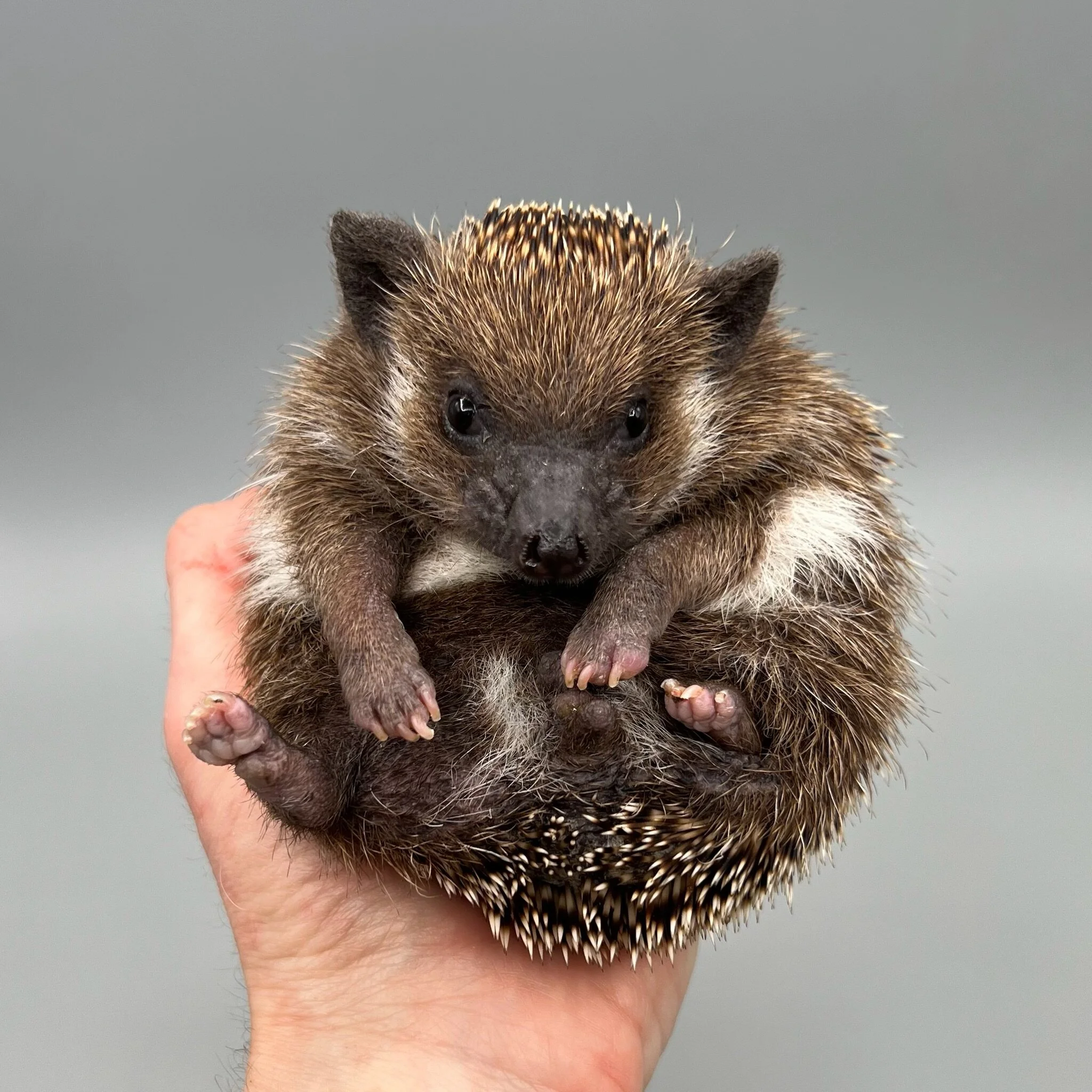 5653CC7B-94C9-4570-841B-81BBE3AE55C4