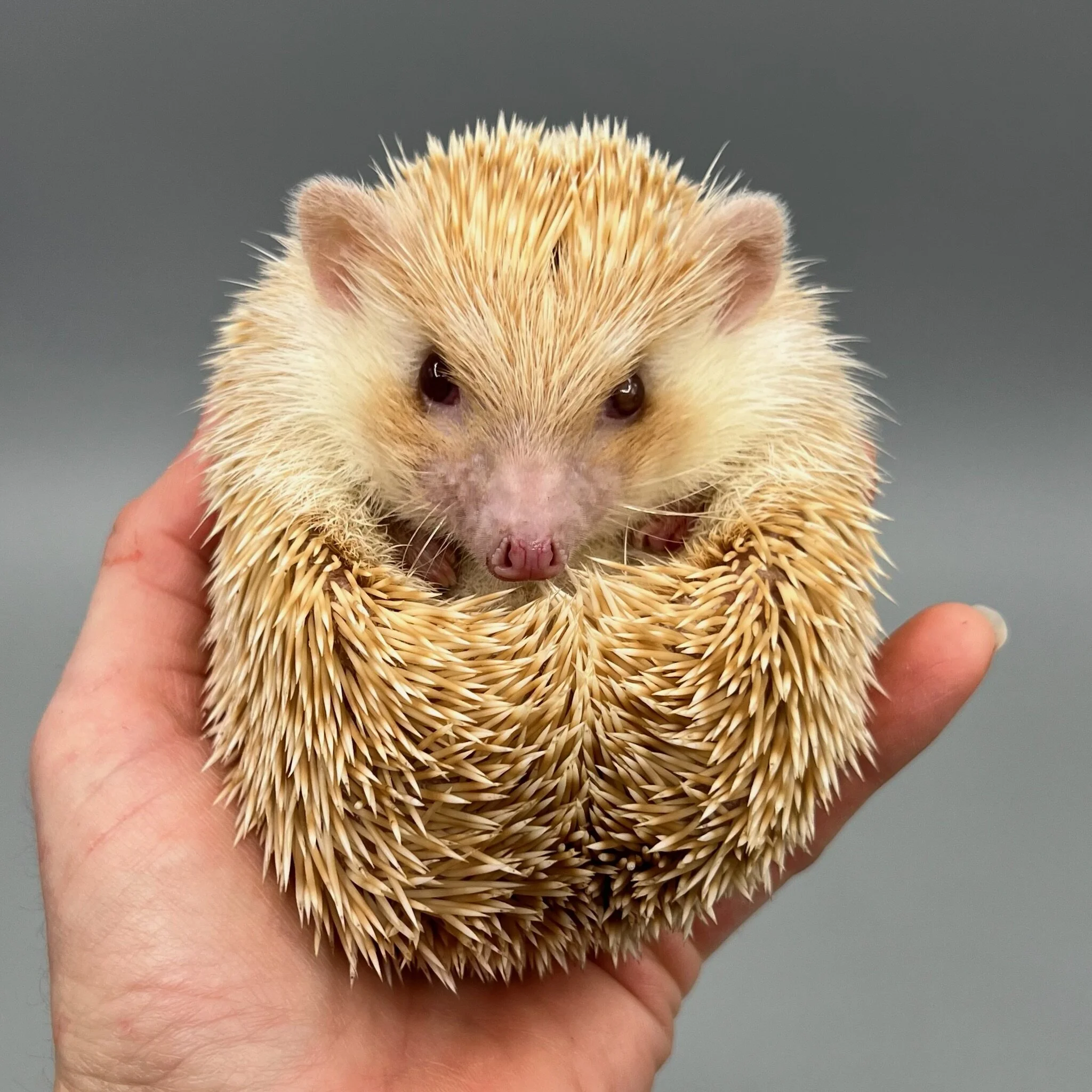 02D31959-57D7-4C51-B32E-CFA5A215148F