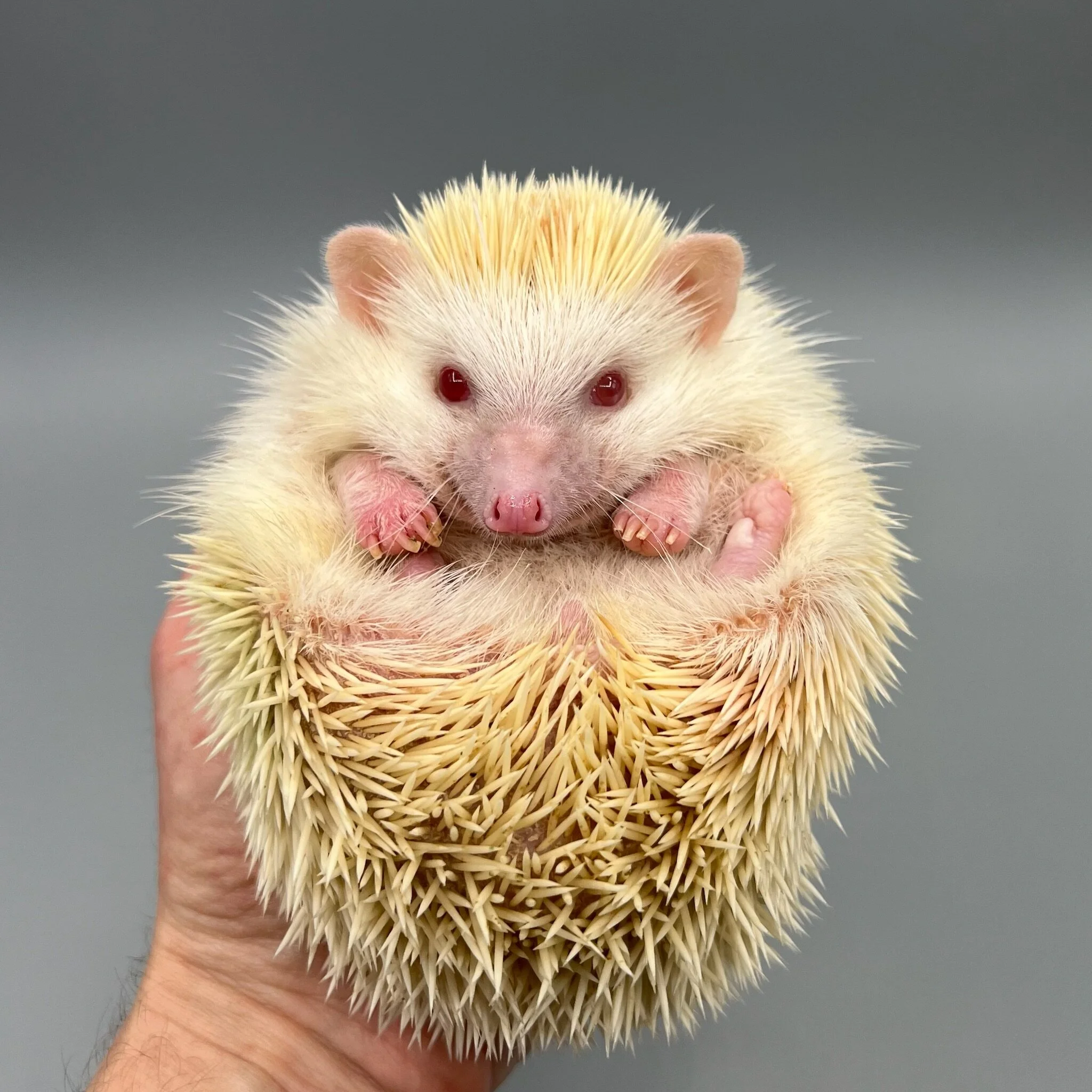 09BC54E1-B947-4250-B104-2F0FA58709E5