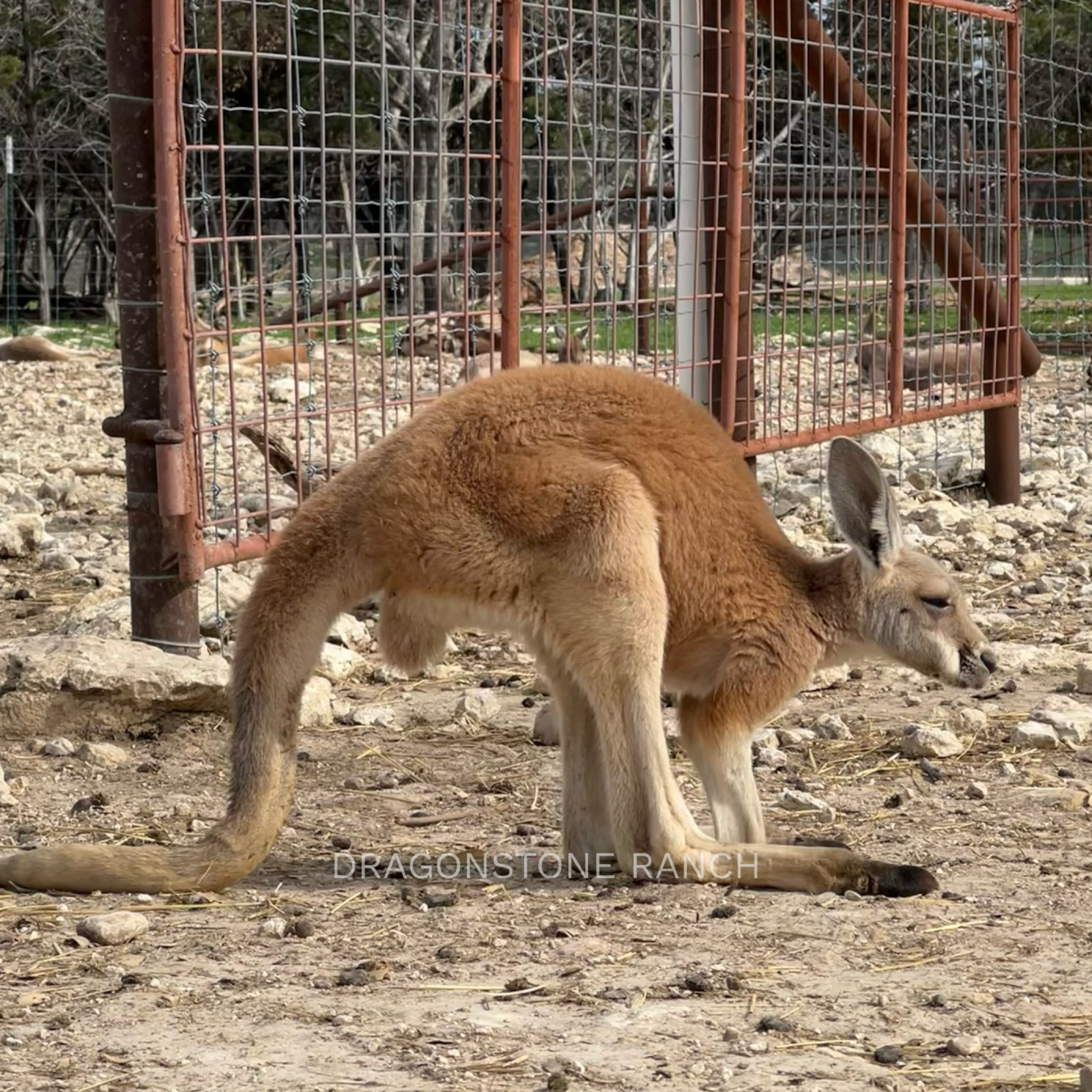 96295EEE-513F-420A-A470-1BCAA97377E5