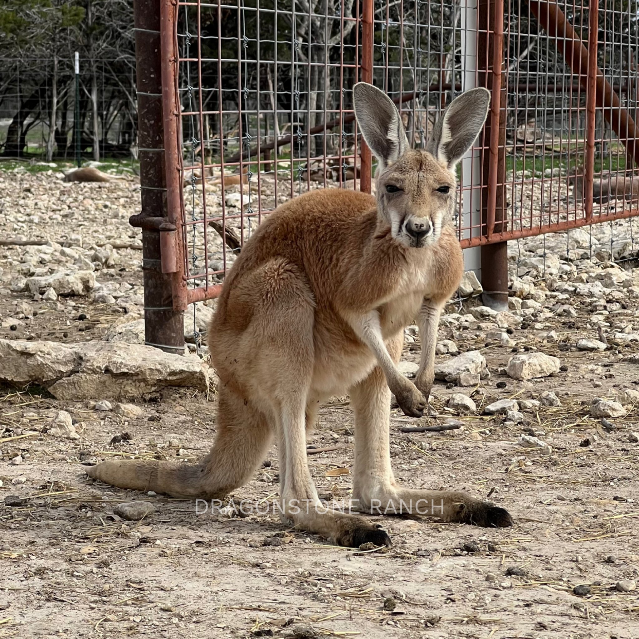 0AD19206-598A-4684-9D44-88D055D871C9