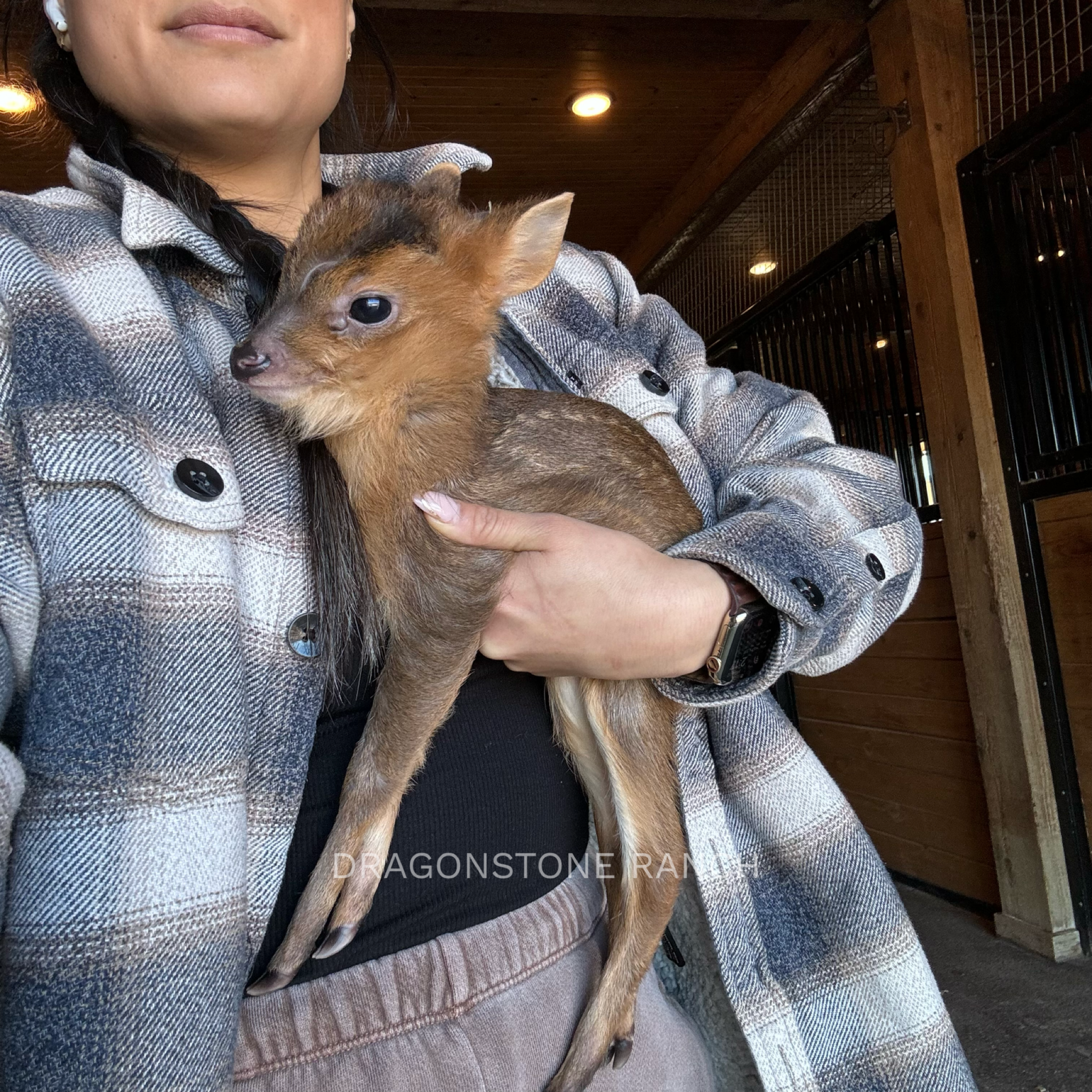 D9E7890B-A3B7-42AC-AEDA-3D9E87DAE3BB