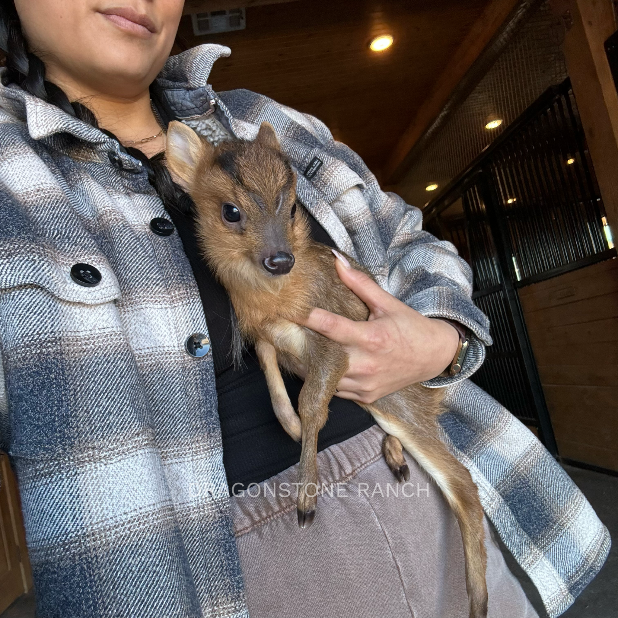 C4DD4629-908E-4BA8-AAC3-93606D4915D9