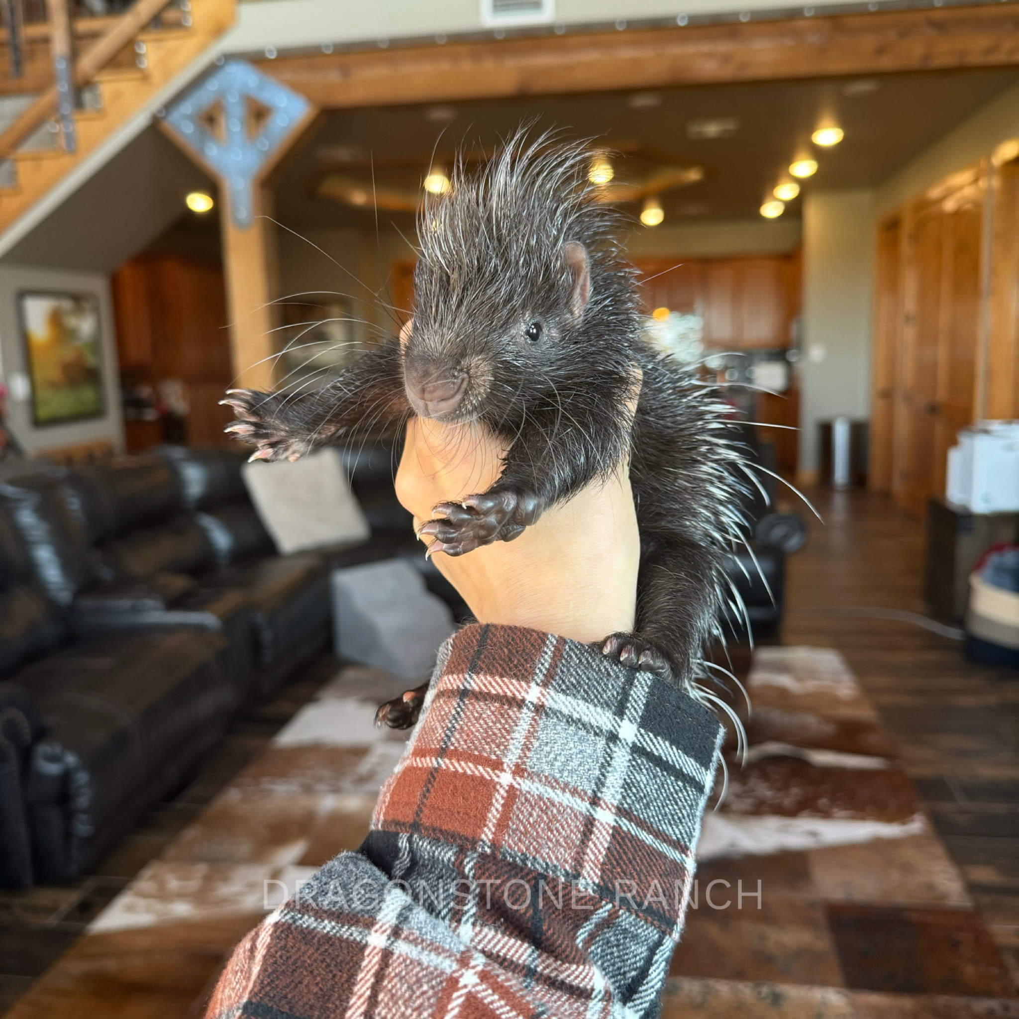 58EB3AB5-7652-4FA0-BB03-E64FB850420F