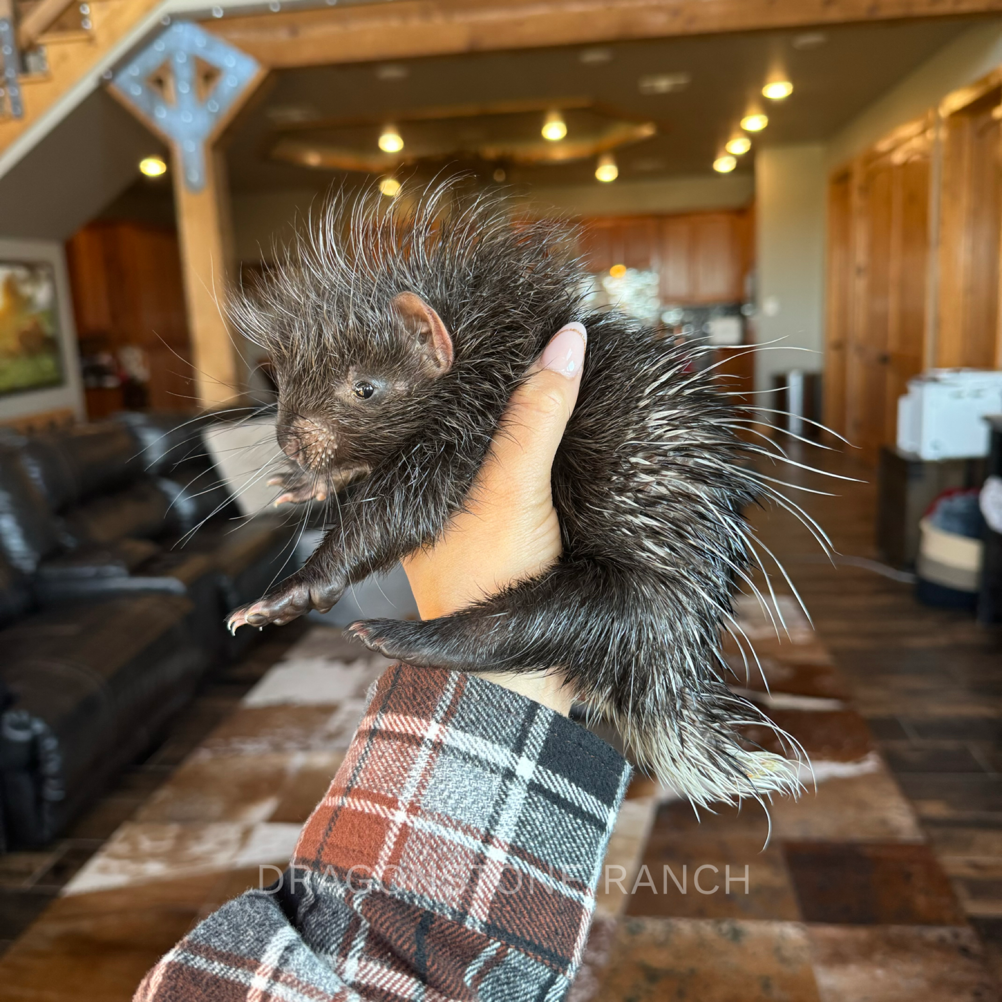 FCDA21F9-0C1C-4DF1-8720-1F143B432726