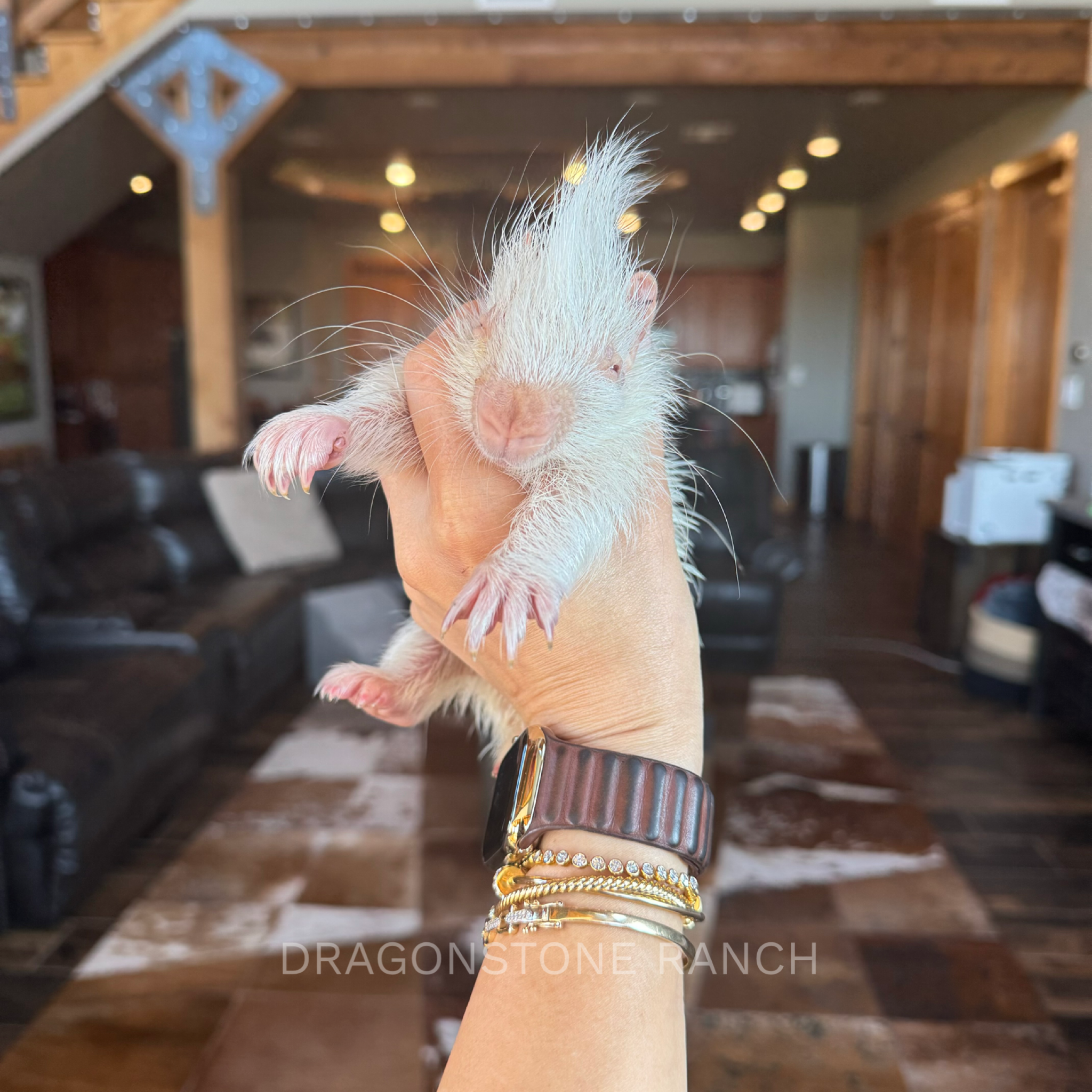 7405FBF9-33E5-4376-BA5A-A94A99FC72AD