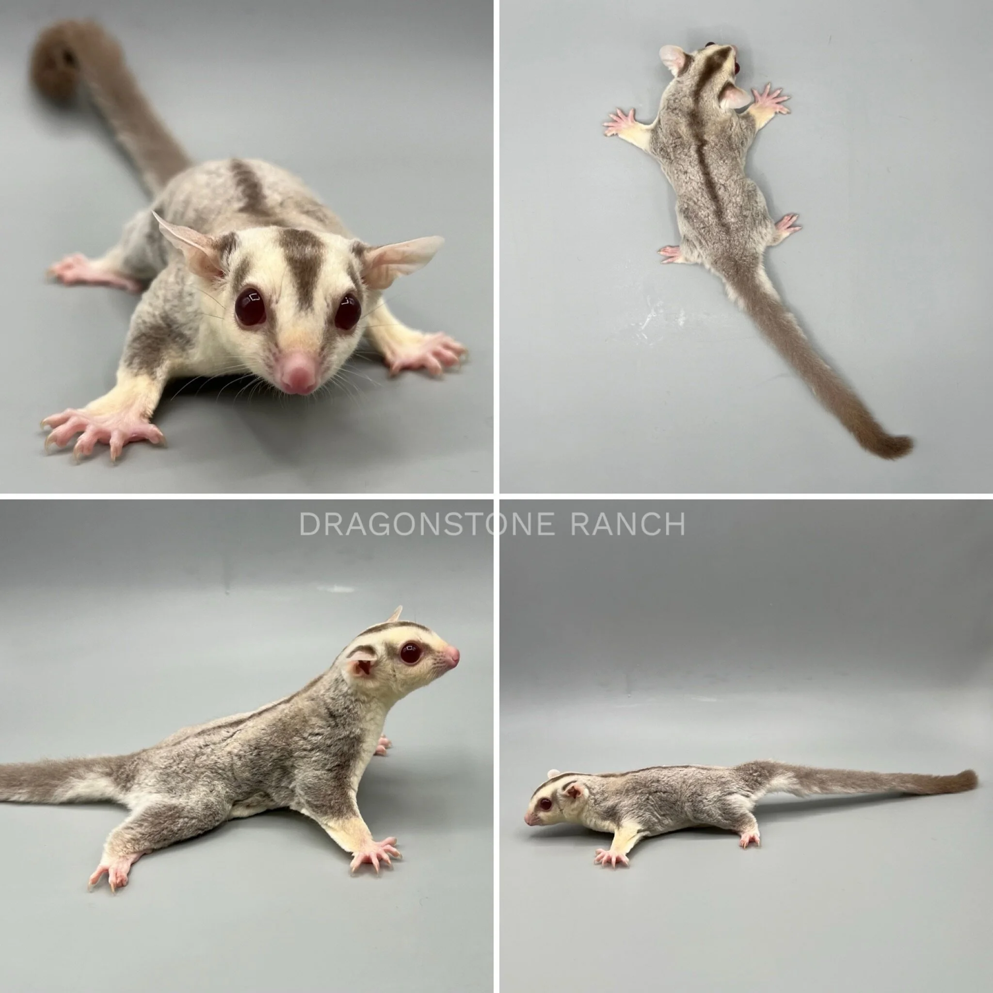 E2D82FEC-BB9B-4FCA-A38C-C3F6912DCF00