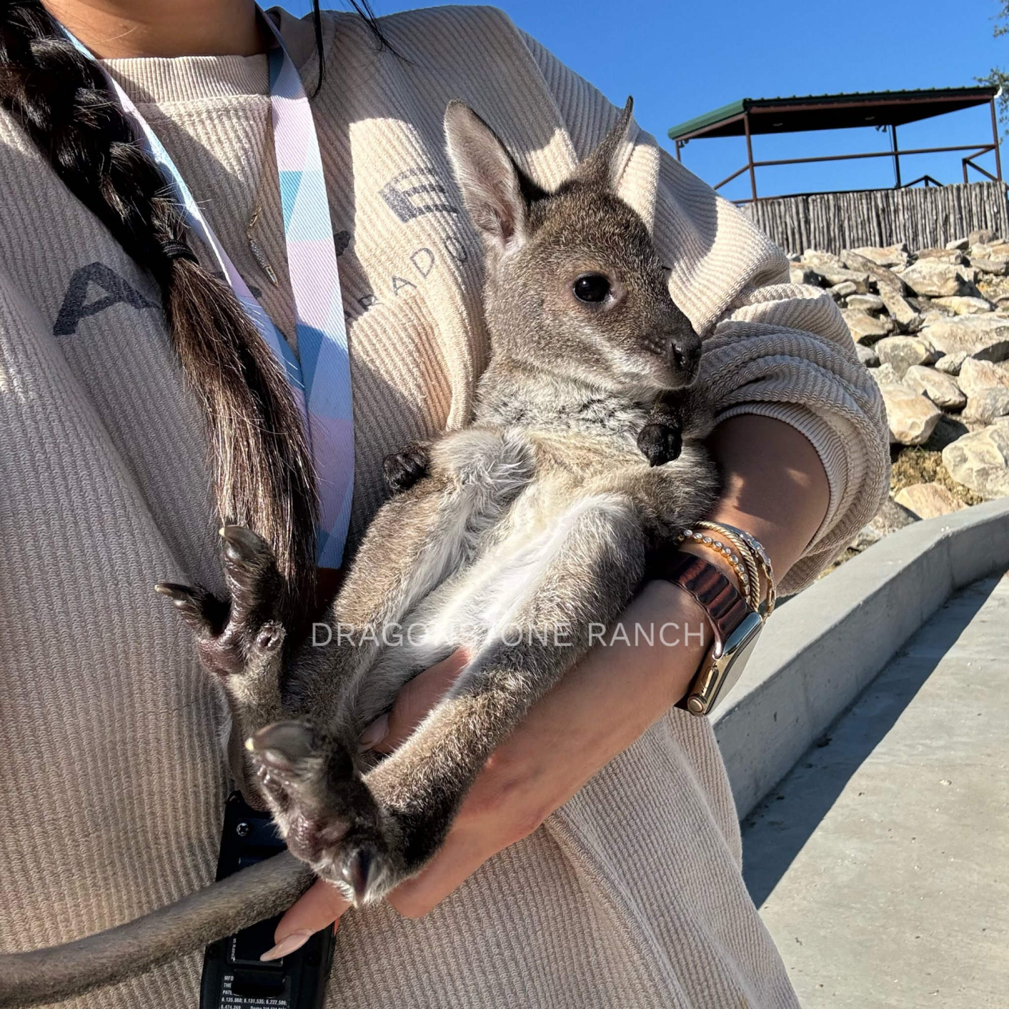 1058F10D-EC6A-4ADC-B1D2-CB823CCCF459