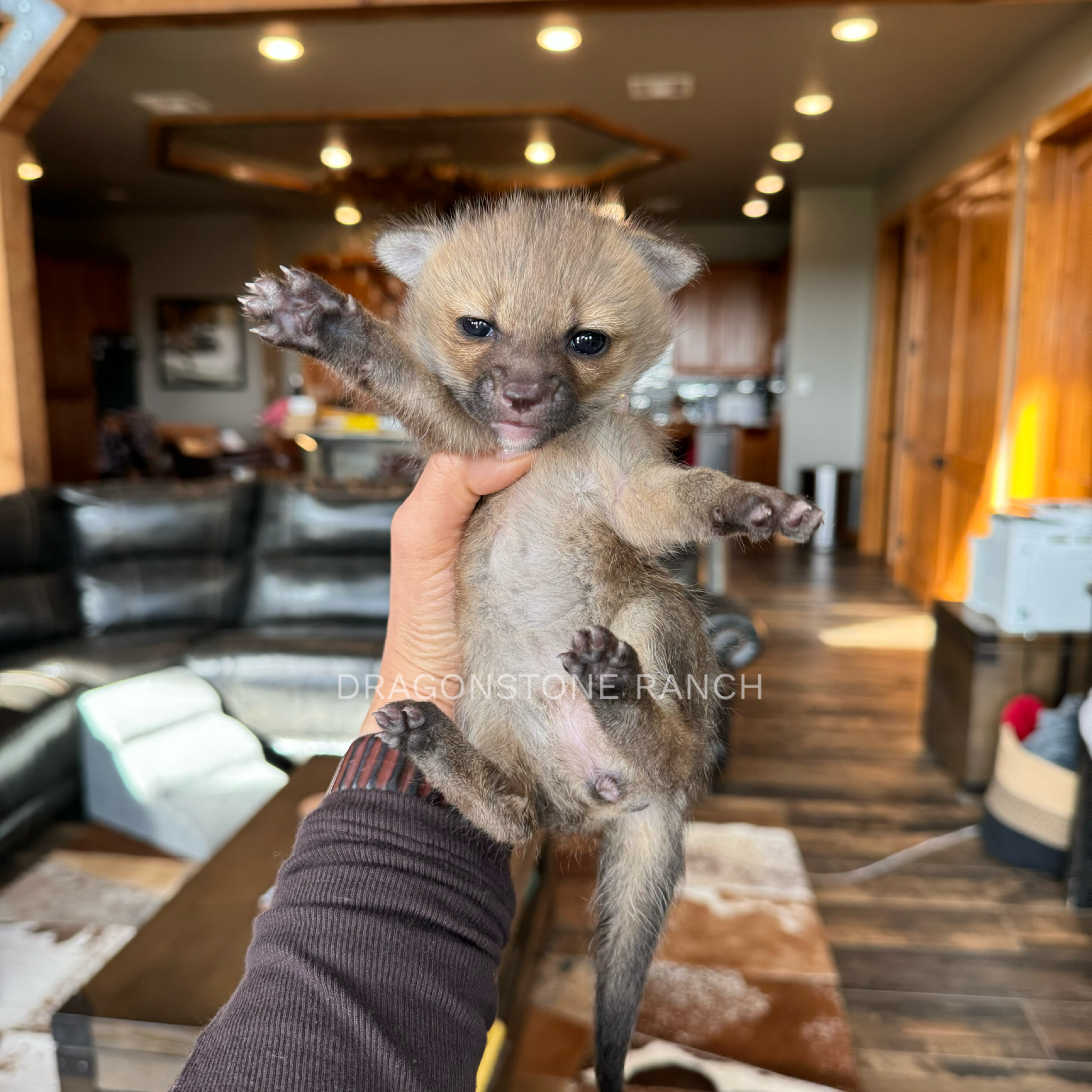 C1DC407C-A322-4892-B0C9-4AFC1B0C6418