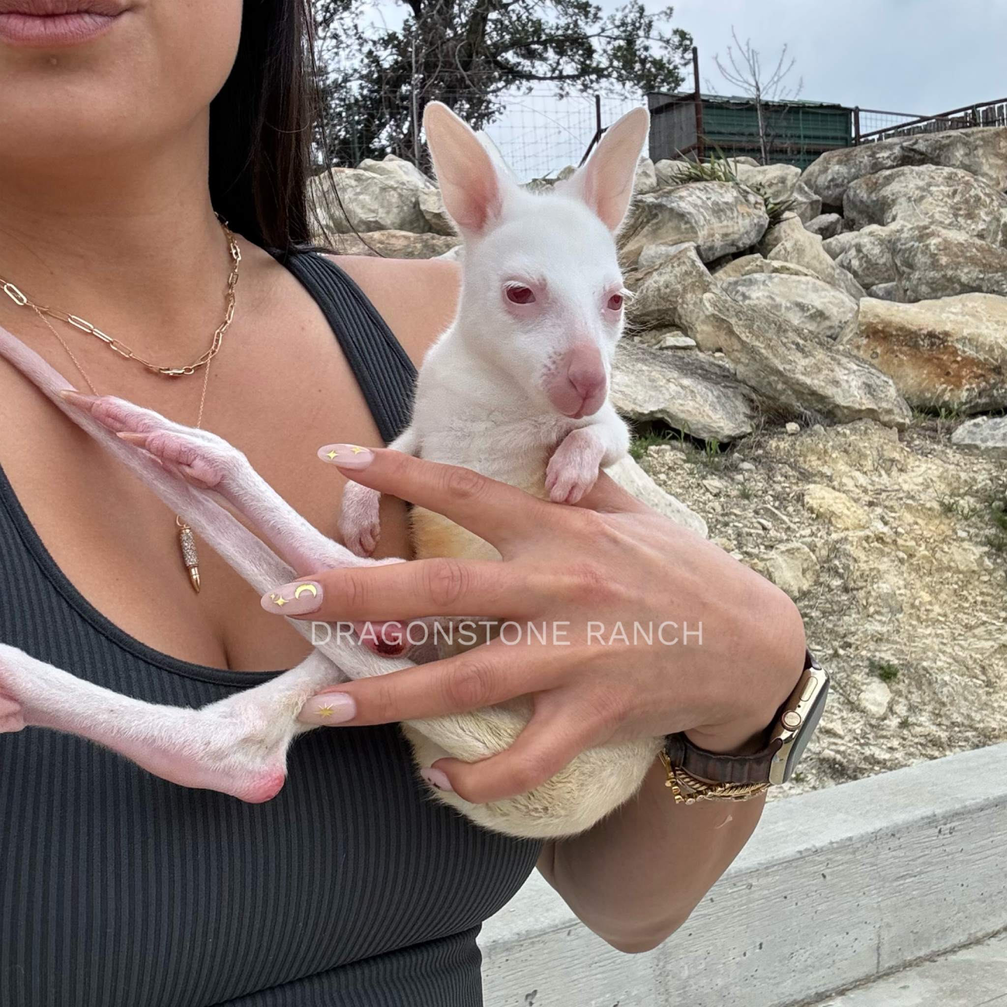 409F0542-2A29-4832-970C-0648EDE7B856