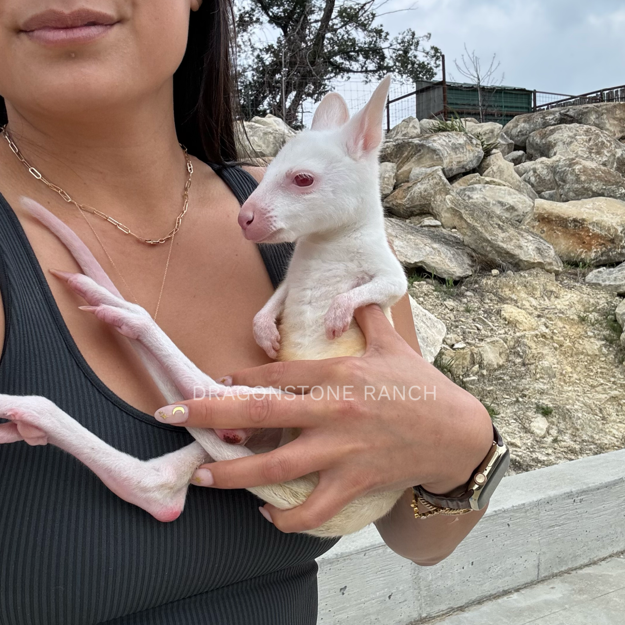 7C63C0A2-A478-4DAE-B2A5-2AC086AC6711