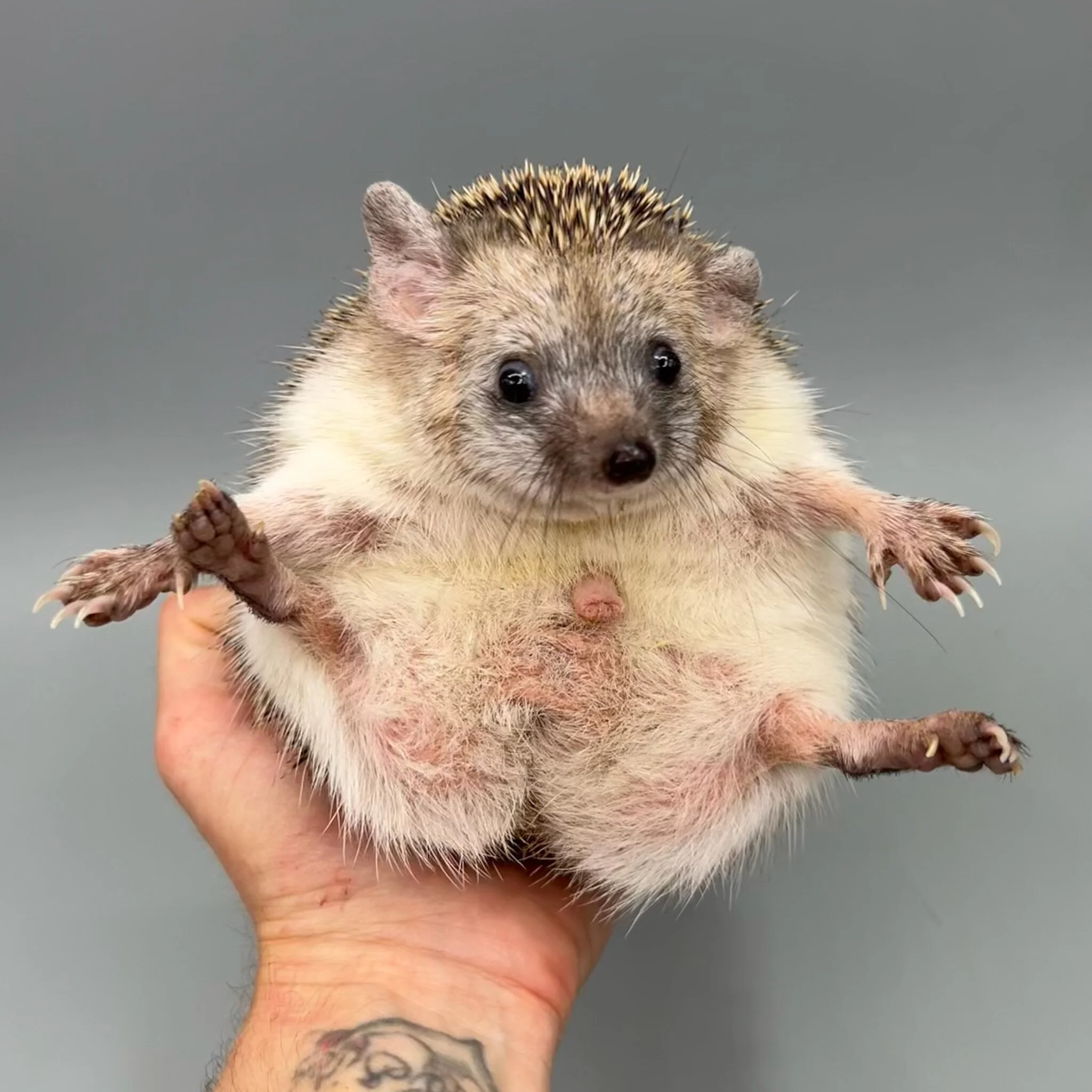 6733AD53-5CCE-4CD8-B107-9C1AE2B23231