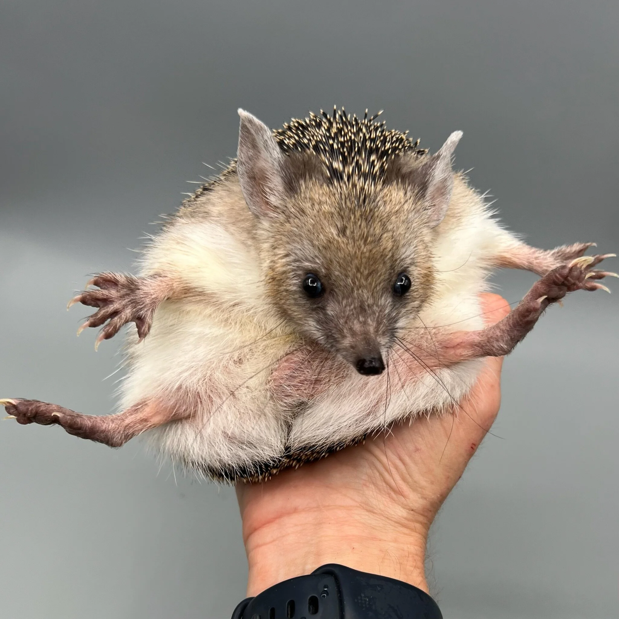 98B0AC77-B21A-4A89-A3D2-C758A63FBCEF