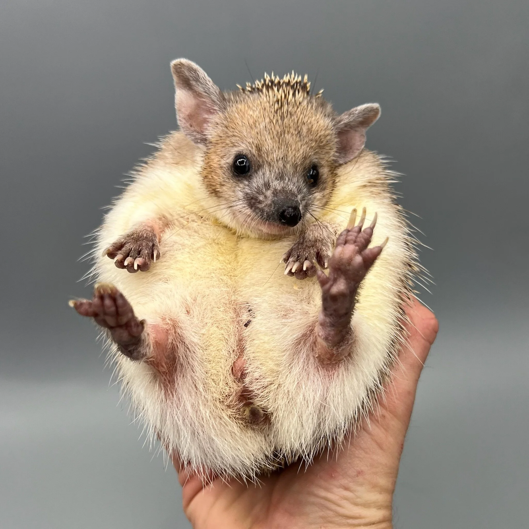 61DD31EA-FBEE-4026-AC90-0B9626F4DE3F