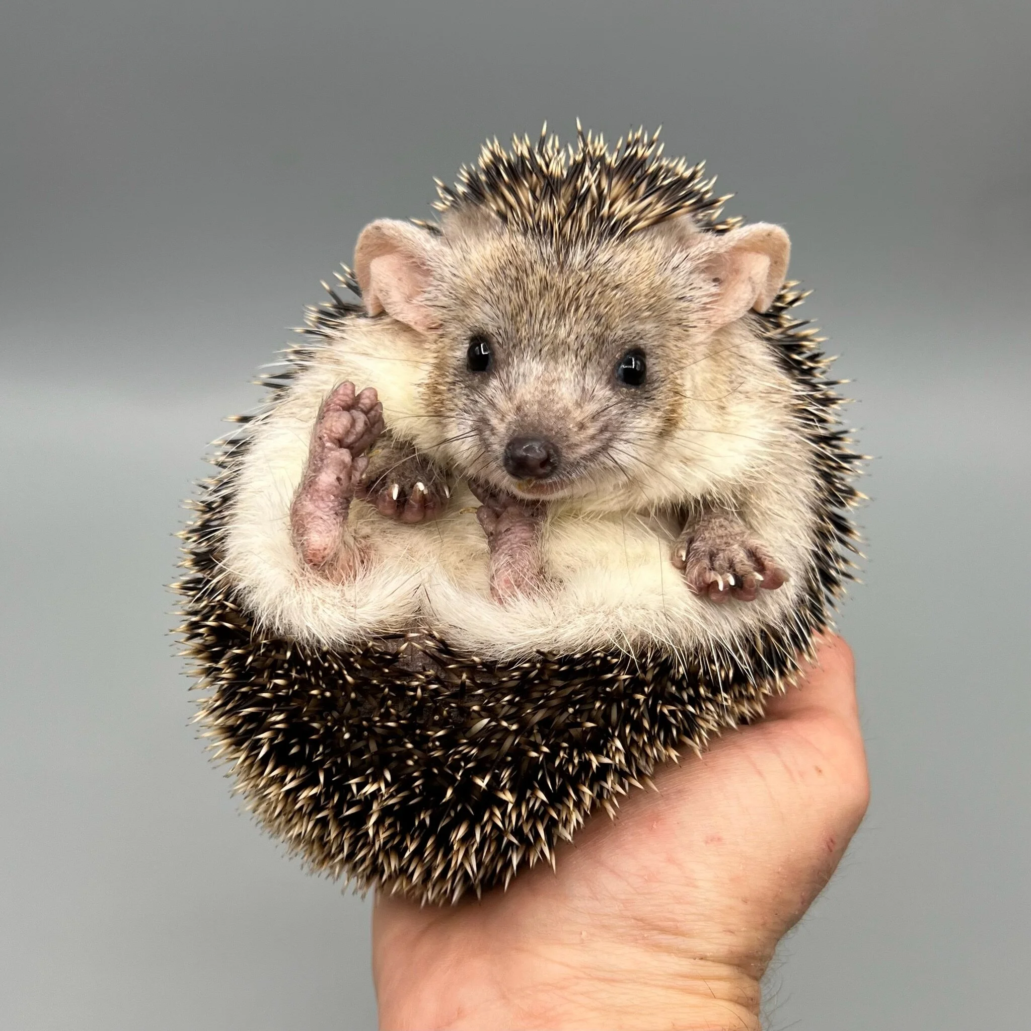 BCFF2F20-26E4-4566-A906-CA0B0308B255