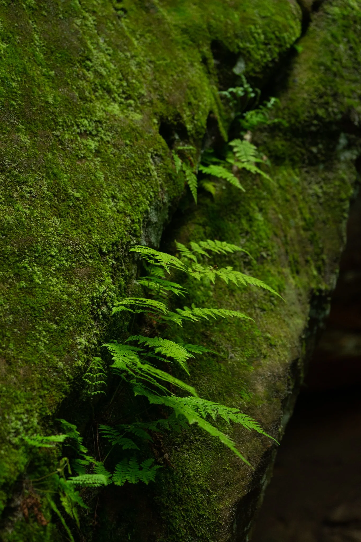 DSC03572.jpg