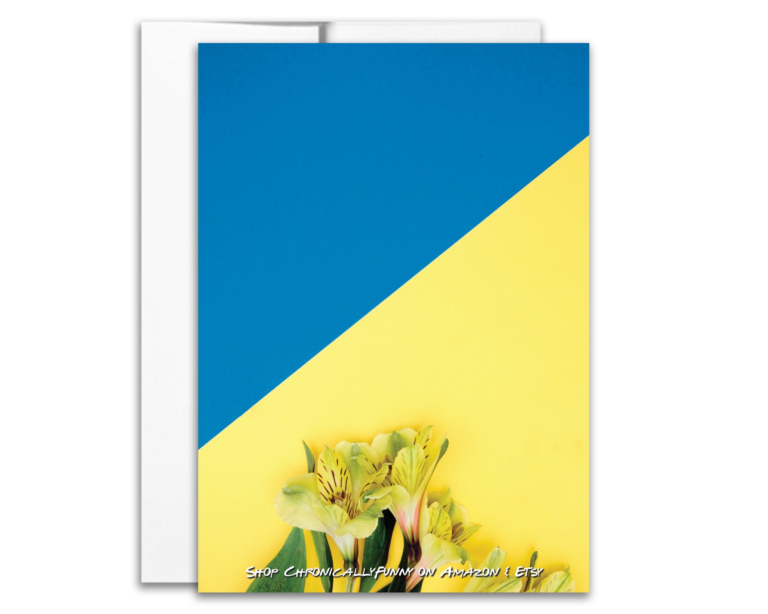 https://i.etsystatic.com/12276909/r/il/42a3c3/5933447311/il_fullxfull.5933447311_h0zf.jpg