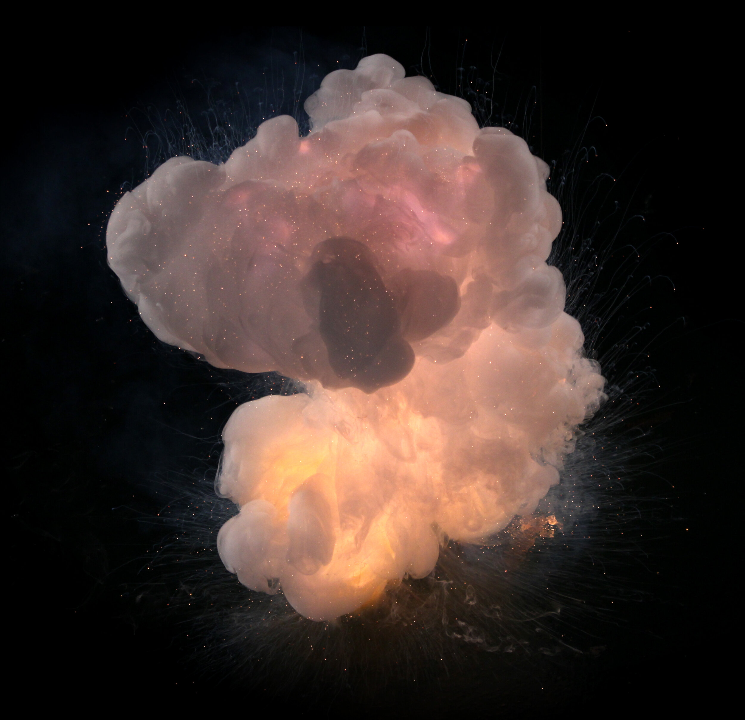 04 SPOTLIGHT: SOPHIE CLEMENTS