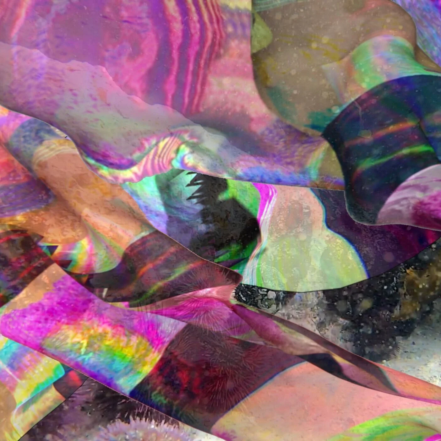 0RPHAN DRIFT: CAN OCTOPUSES CHANGE OUR WORLD?