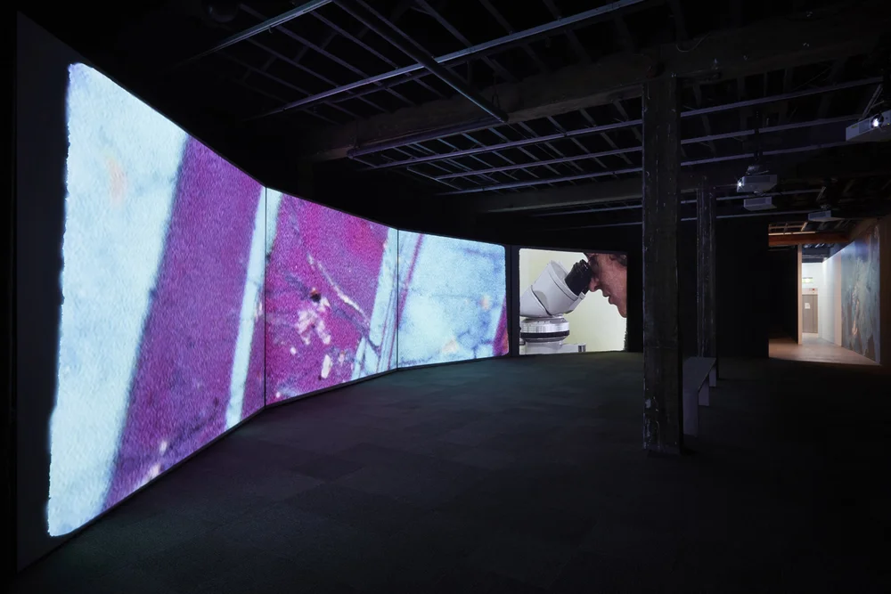   Habitat  (2018-19), Artspace, Sydney, HD, colour, black + white, 5.1 surround sound, 10:33 mins.   Image credit: Zan Wimberley 