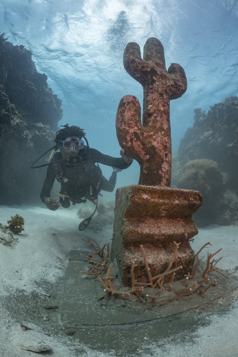 Underwater Cacti (2019) Claudia Comte.