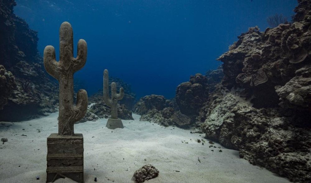 Underwater Cacti (2019) Claudia Comte.