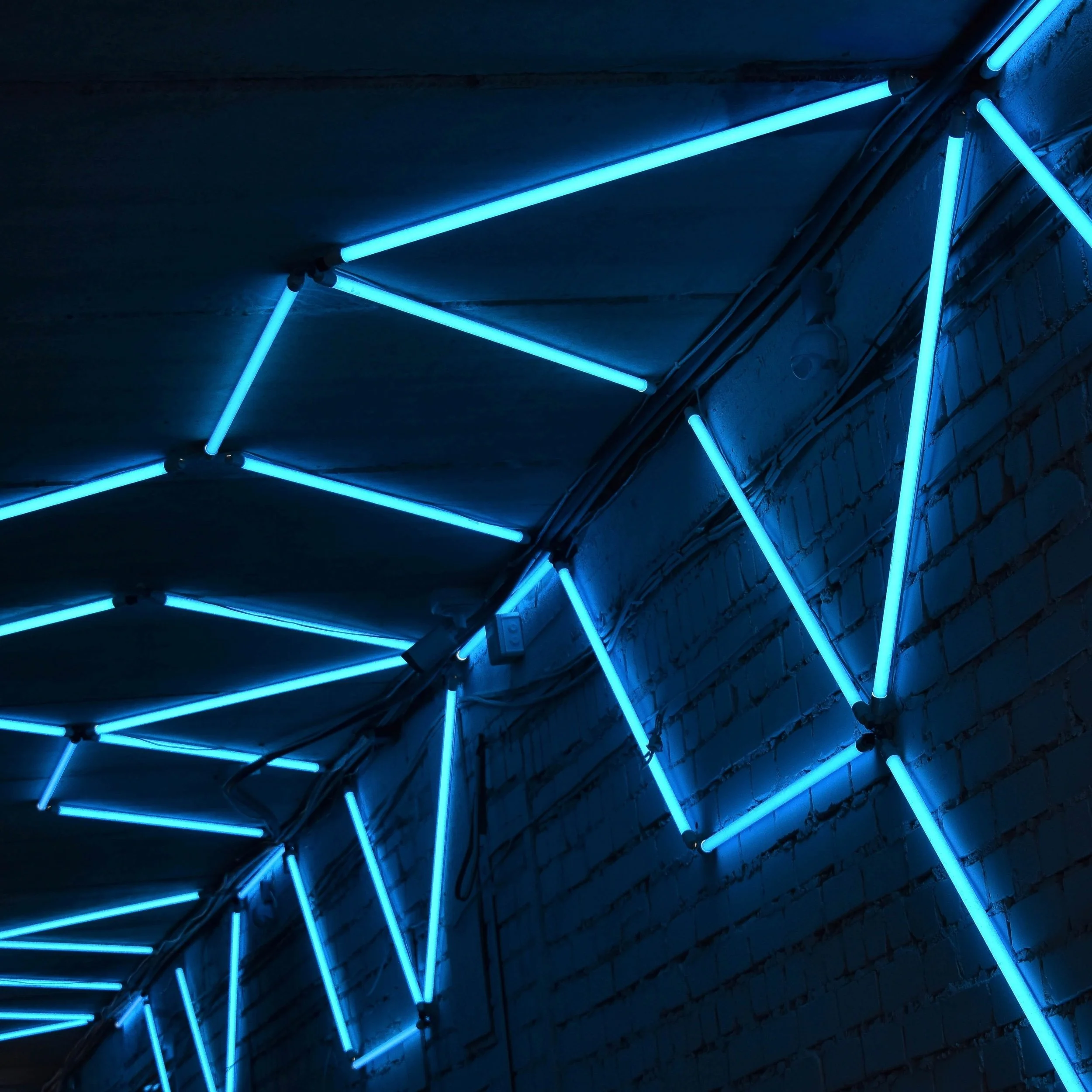 THE SIMS: BRAIN ARCHITECTURE